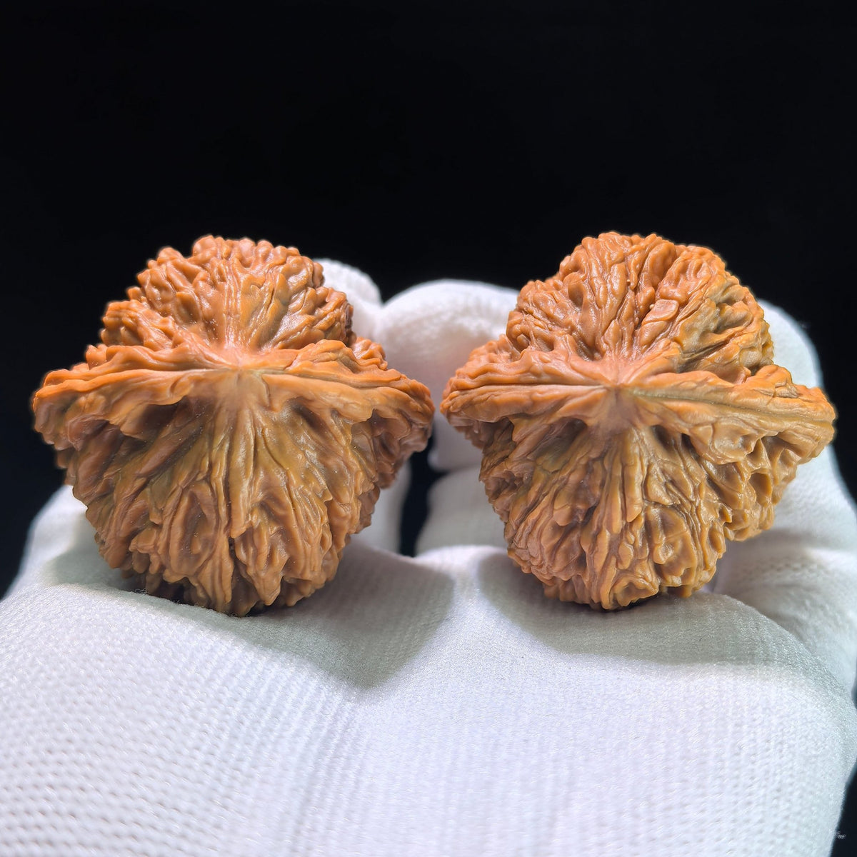 The "Heart-Shaped Concave Base" Nanjiangstone Elite Pair | 42.0mm x 40.0mm | NJS-1206C - ThePatinaProject