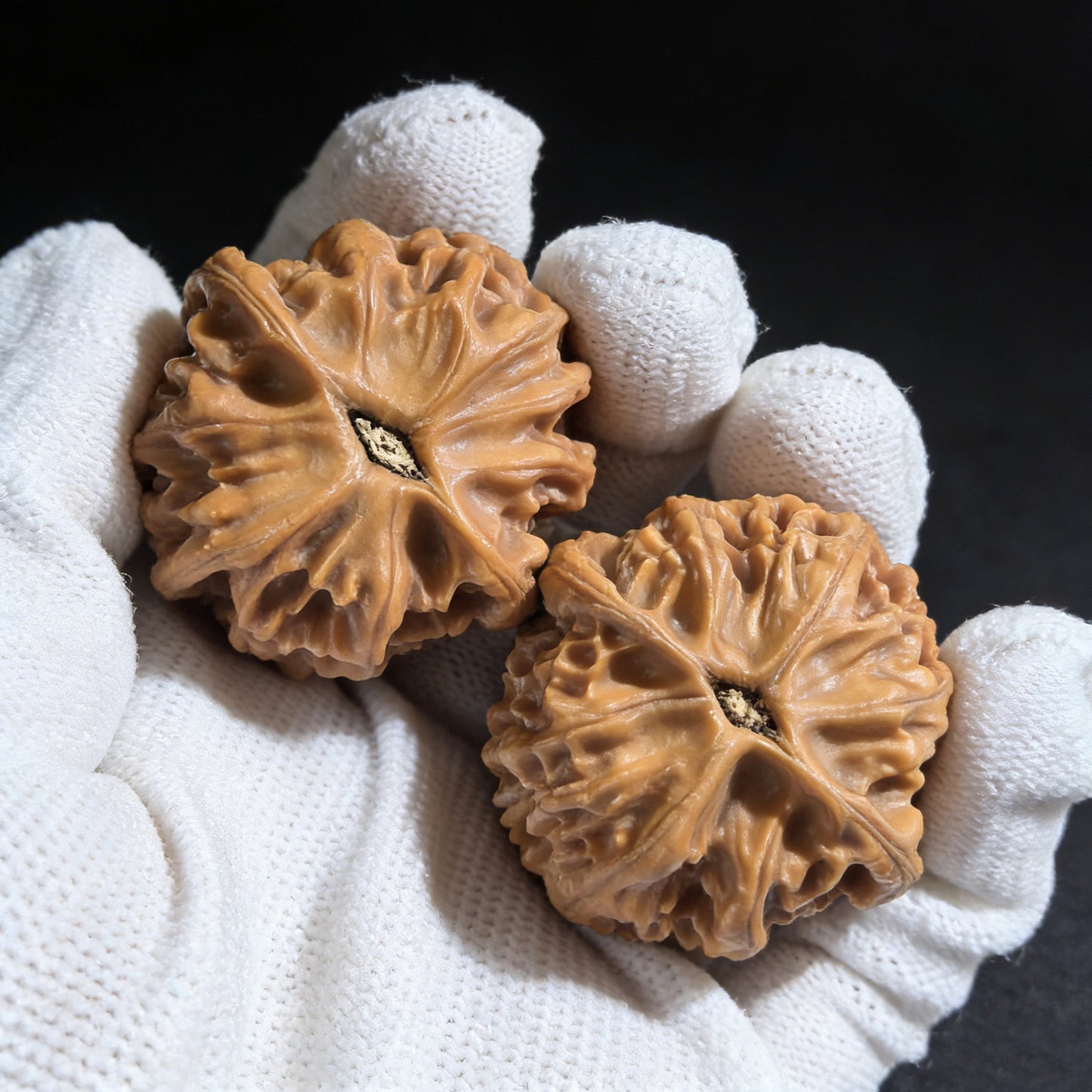 The "Heaven & Earth Er Ye's Hat" (Tian Di Er Ye Mao) Pair | 38.0mm x 38.0mm | TDEYM-01 - ThePatinaProject