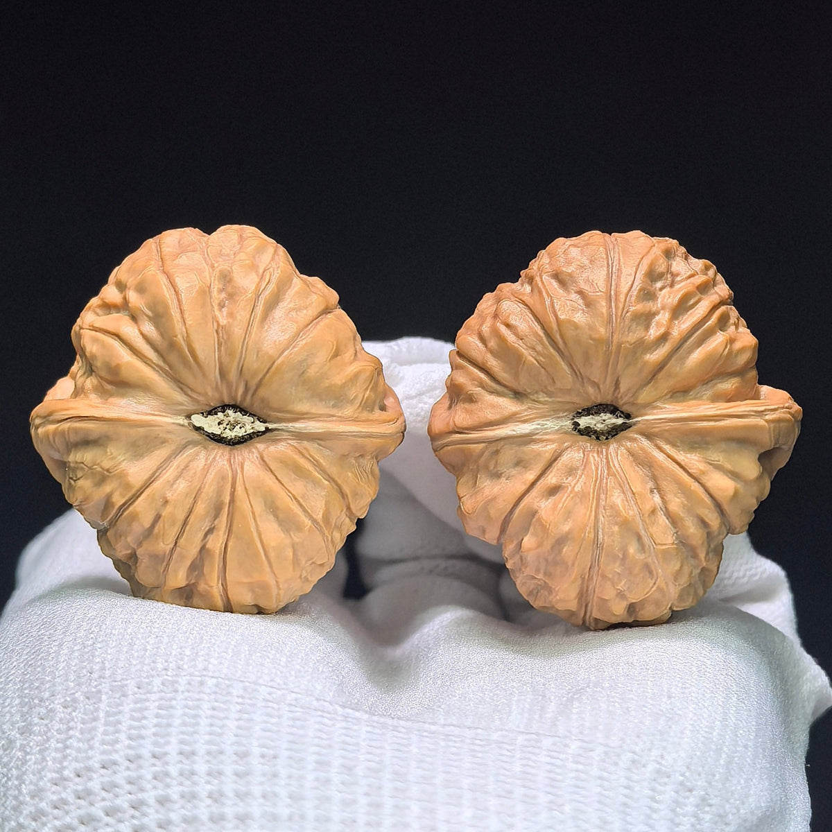 The "Heirloom Squat Pumpkin" (Nan Gua Dun) Collector-Grade Deep-Belly Pair | 38.0mm x 42.0mm | NGD-1402 - ThePatinaProject