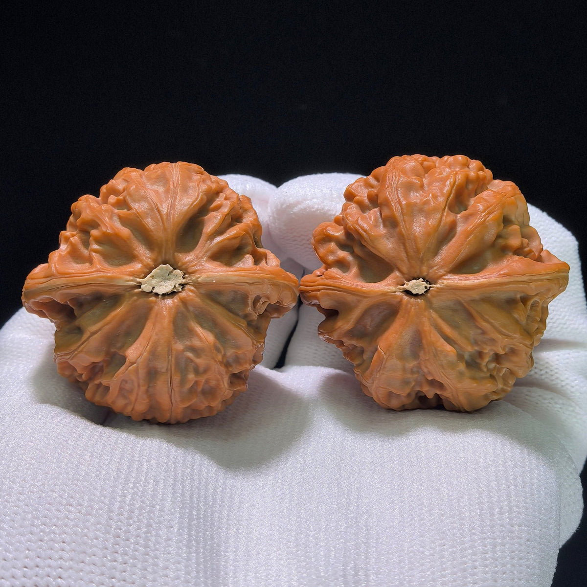 The "Hidden Tip Palace Lantern" (Menjian Gongdeng) Matched Pair | 40.0mm x 39.0mm | GD-1203C - ThePatinaProject