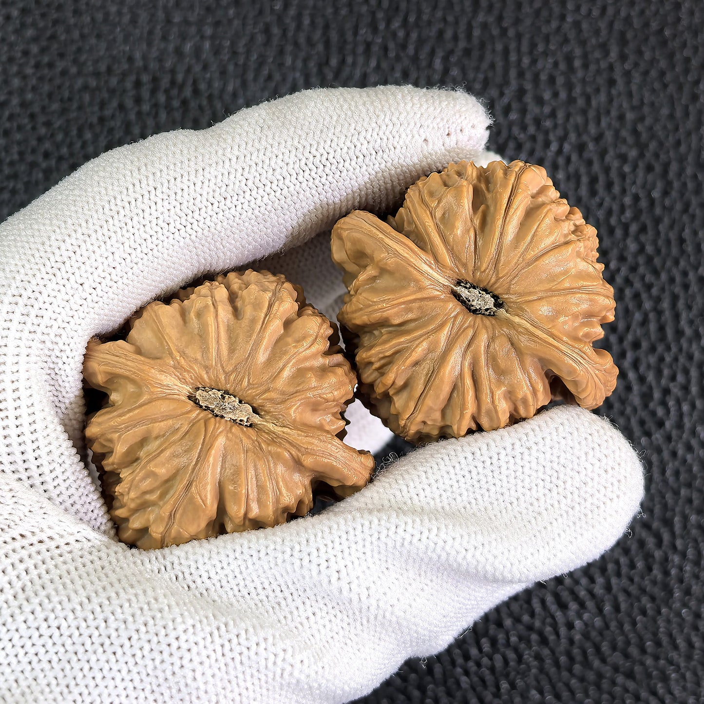 The "Hidden Tip White Lion" (Men Jian Bai Shi Zi) Pair | 39.0mm x 37.0mm | BSJ-406 - ThePatinaProject