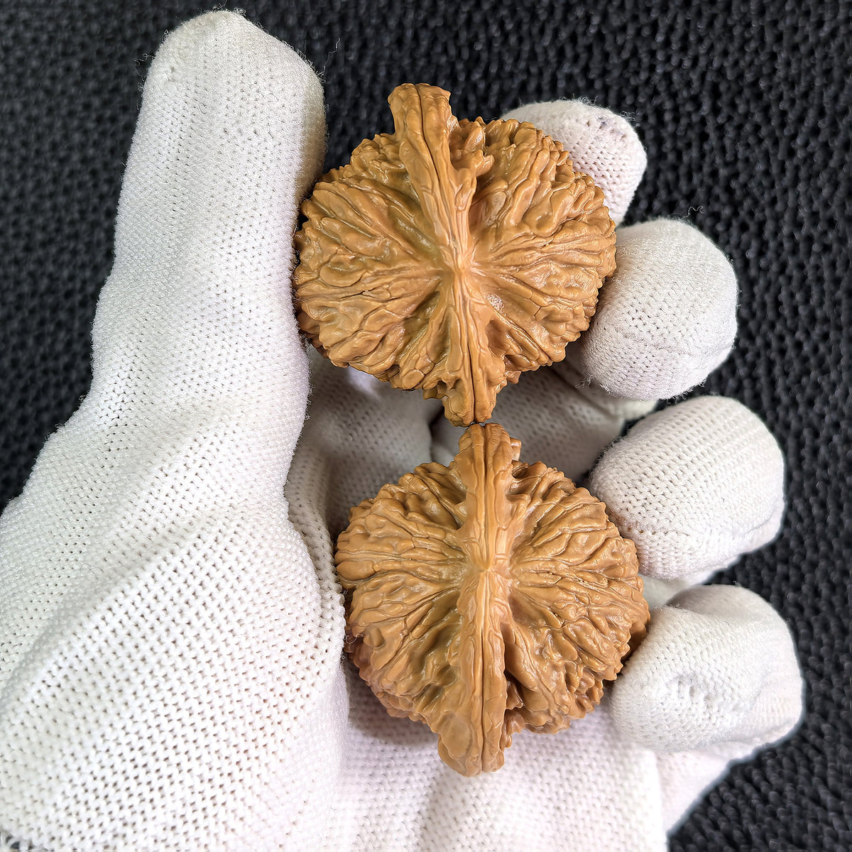 The "Hidden Tip White Lion" (Men Jian Bai Shi Zi) Pair | 39.0mm x 37.0mm | BSJ-406 - ThePatinaProject