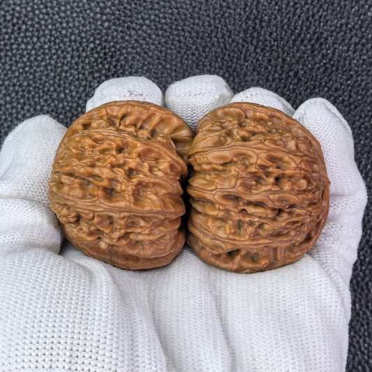 The "Hidden Tip White Lion" (Men Jian Bai Shi Zi) Pair | 48.0mm x 42.0mm | BSJ-1007 - ThePatinaProject