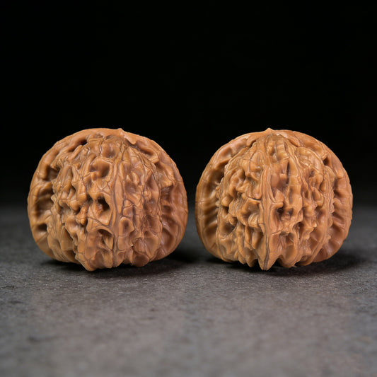The "Hidden Tip White Lion" (Men Jian Bai Shi Zi) Pair | 48.0mm x 42.0mm | BSJ-1007 - ThePatinaProject