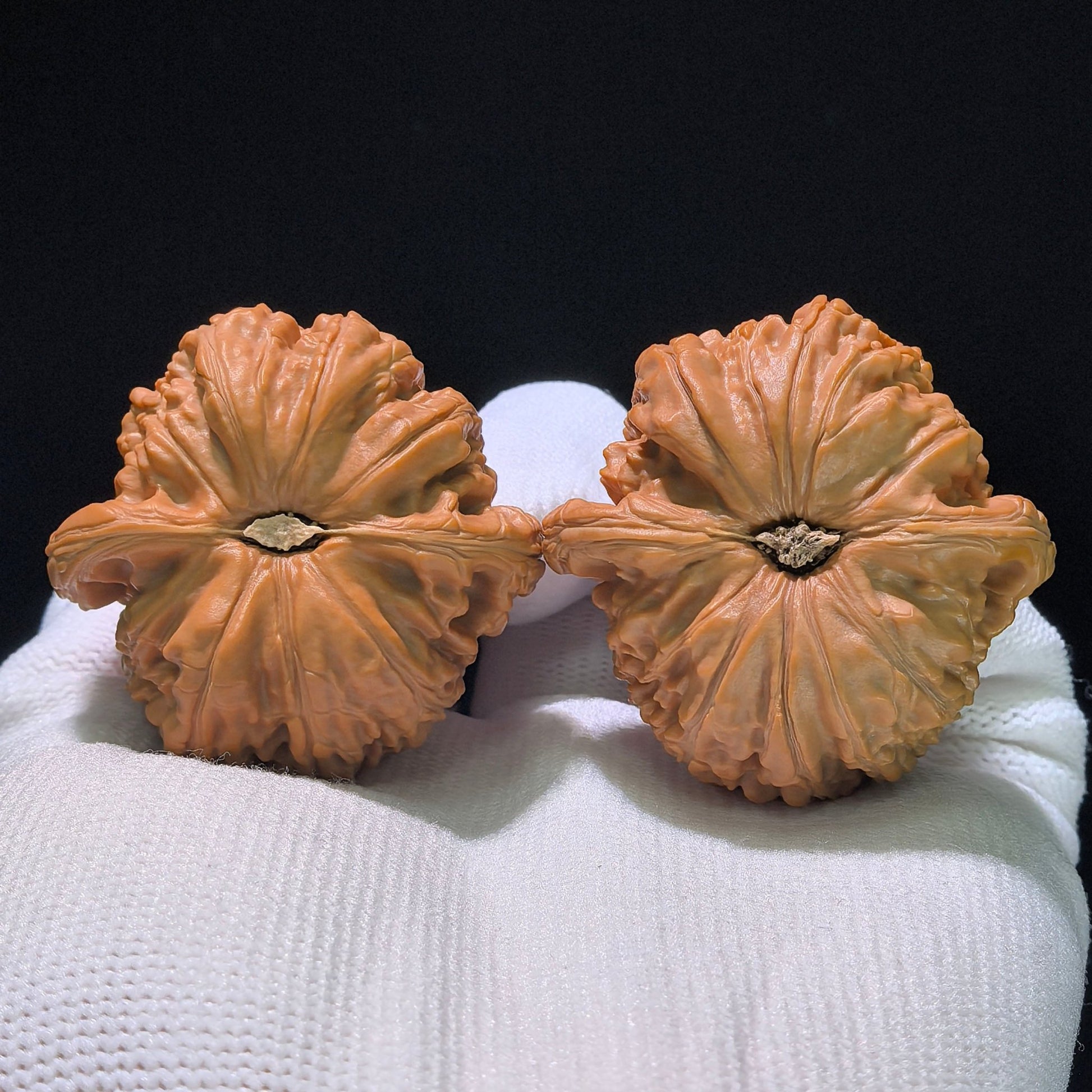 The "Hidden Tip White Lion" (Menjian Baishizi) Matched Pair | 39.0mm x 39.0mm | BSZ-1203C - ThePatinaProject