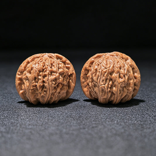 The "Hidden Tip White Lion" (Menjian Baishizi) Matched Pair | 39.0mm x 39.0mm | BSZ-1203C - ThePatinaProject