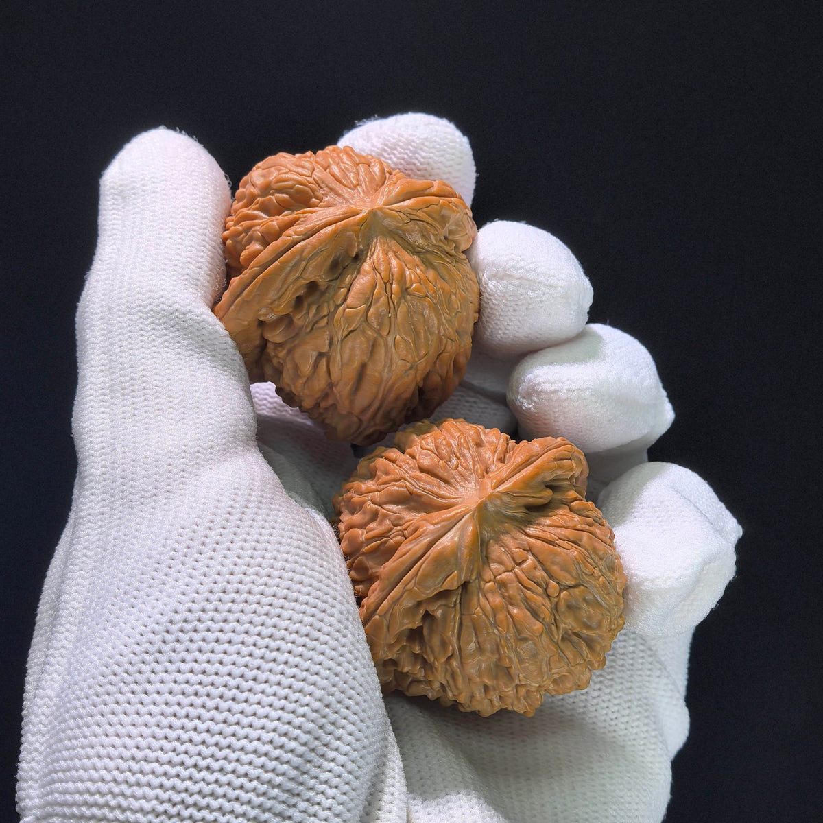 The "Hidden Tip White Lion" (Menjian Baishizi) Matched Pair | 39.0mm x 39.0mm | BSZ-1203C - ThePatinaProject