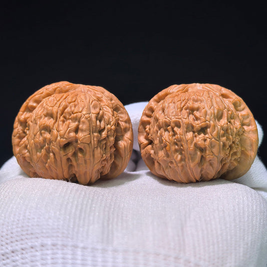 The "Hidden Tip White Lion" (Menjian Baishizi) Matched Pair | 39.0mm x 39.0mm | BSZ-1203C - ThePatinaProject