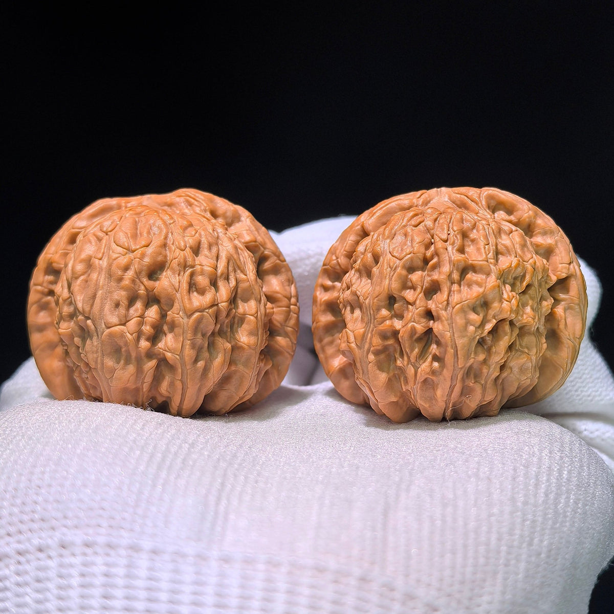 The "Hidden Tip White Lion" (Menjian Baishizi) Matched Pair | 39.0mm x 39.0mm | BSZ-1203C - ThePatinaProject
