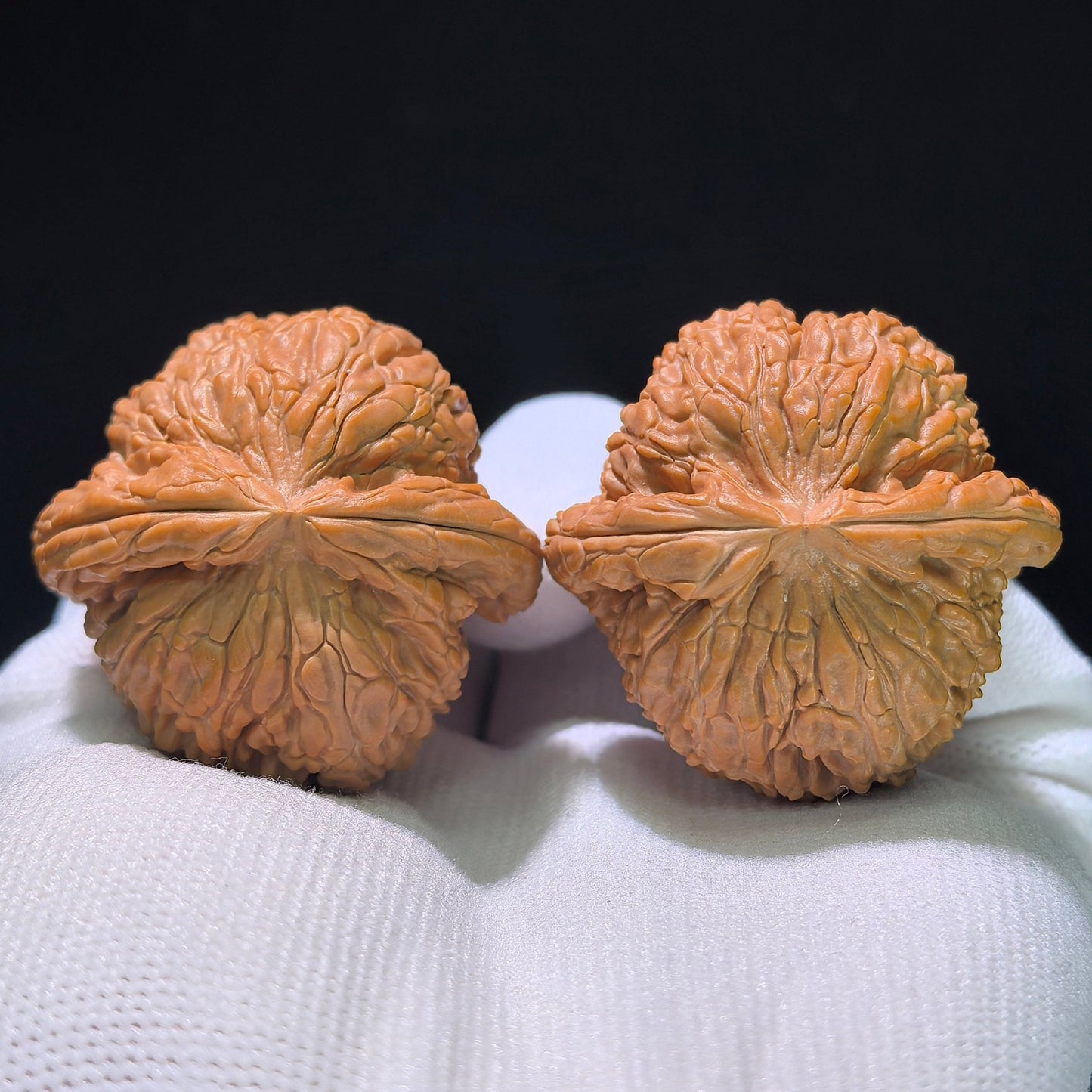 The "Hidden Tip White Lion" (Menjian Baishizi) Matched Pair | 39.0mm x 39.0mm | BSZ-1203C - ThePatinaProject