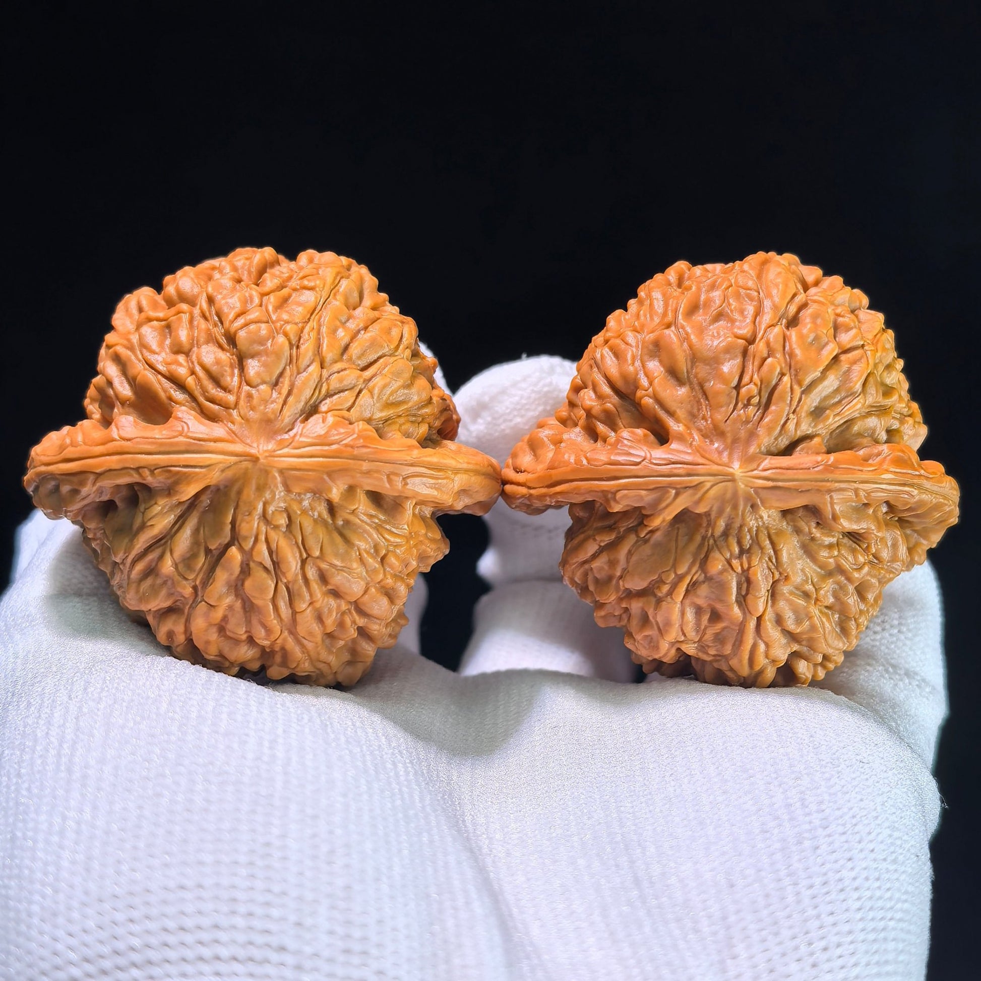 The "Hidden Tip White Lion" (Menjian Baishizi) Matched Pair | 47.0mm x 46.0mm | BSZ-1202C - ThePatinaProject