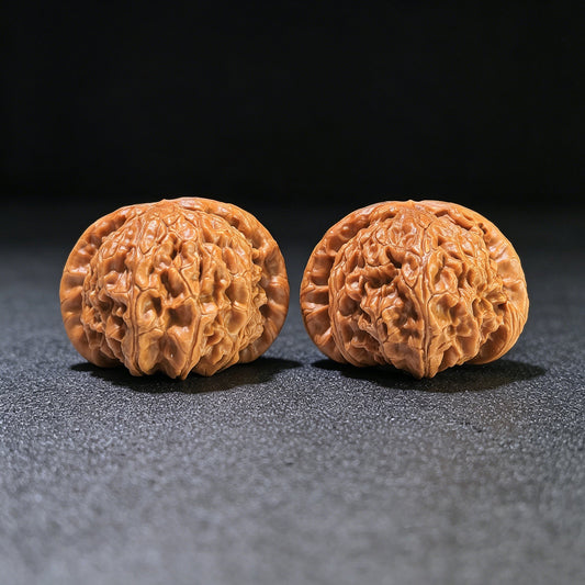 The "Hidden Tip White Lion" (Menjian Baishizi) Matched Pair | 47.0mm x 46.0mm | BSZ-1202C - ThePatinaProject