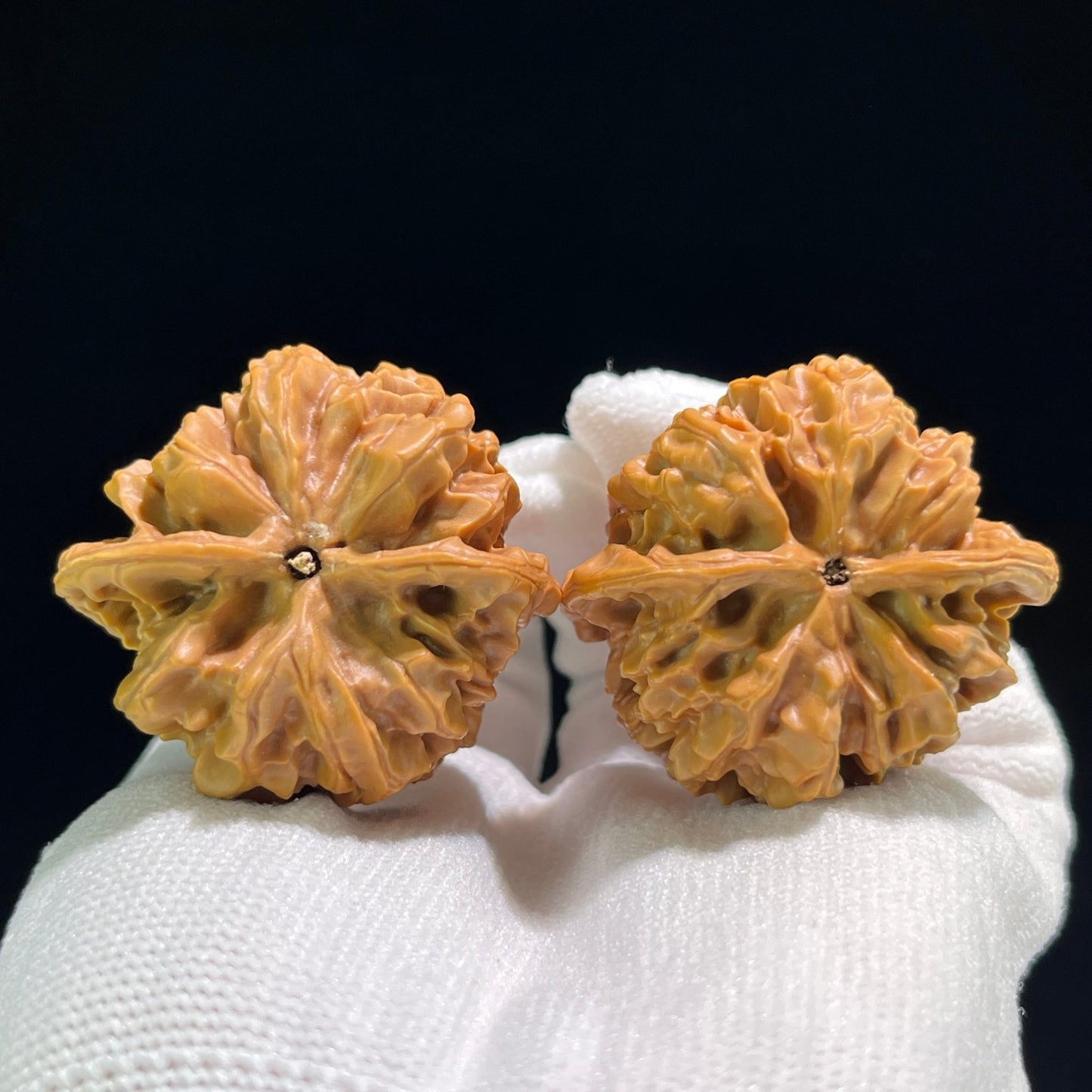 The "Hundred Longevity" Lion Head (Bai Shou Shi Zi Tou) Ergonomic Giant Pair | 41.0mm x 37.0mm | BSSZT-802 - ThePatinaProject
