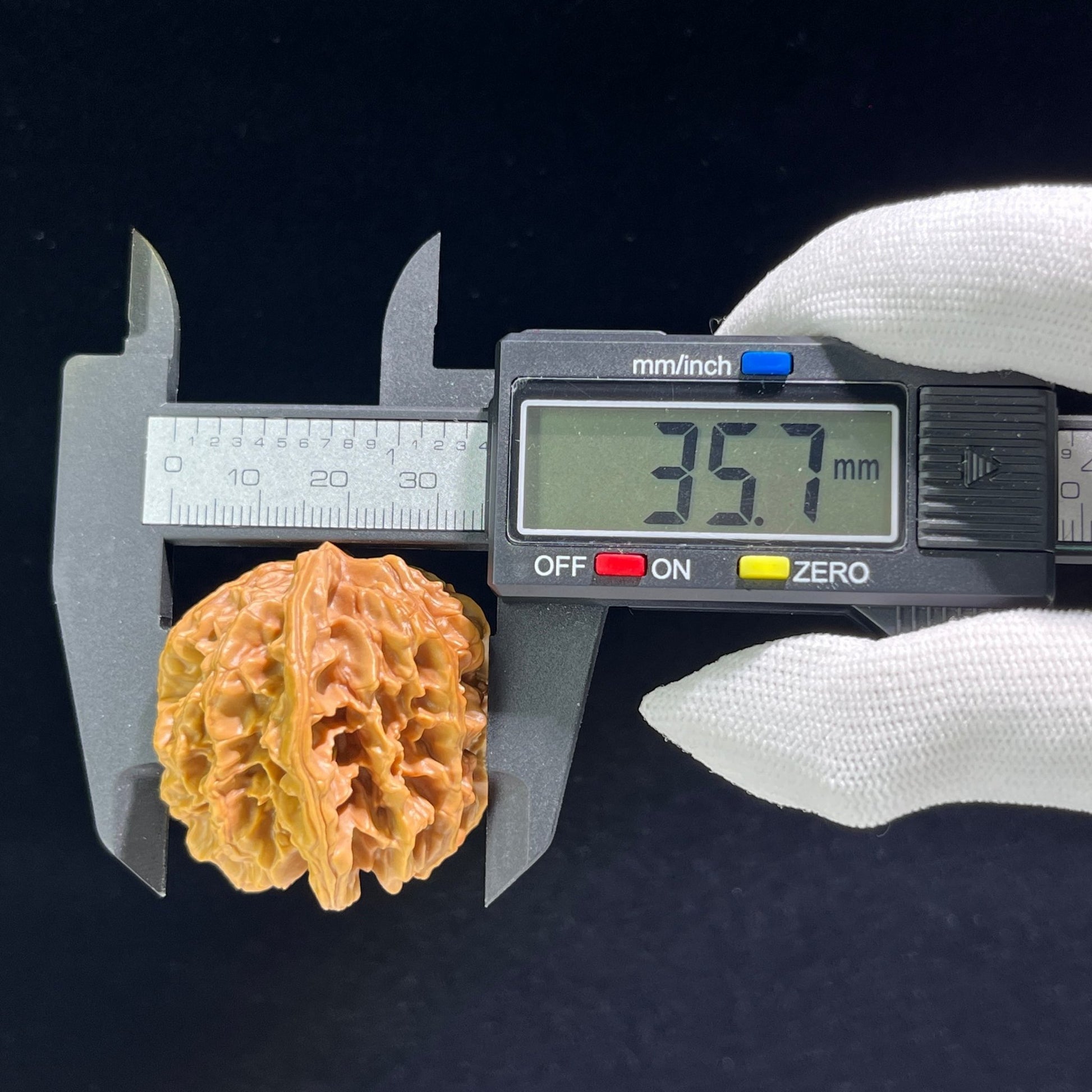 The "Hundred Longevity" Lion Head (Bai Shou Shi Zi Tou) Ergonomic Giant Pair | 41.0mm x 37.0mm | BSSZT-802 - ThePatinaProject