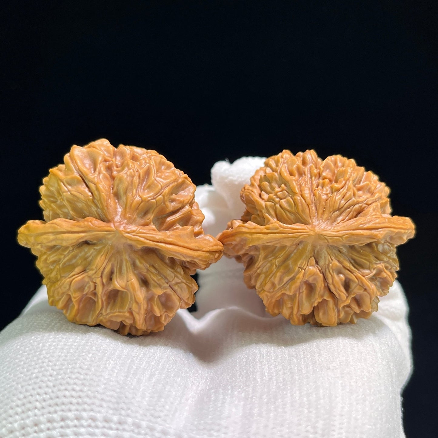The "Hundred Longevity" Lion Head (Bai Shou Shi Zi Tou) Ergonomic Giant Pair | 41.0mm x 37.0mm | BSSZT-802 - ThePatinaProject
