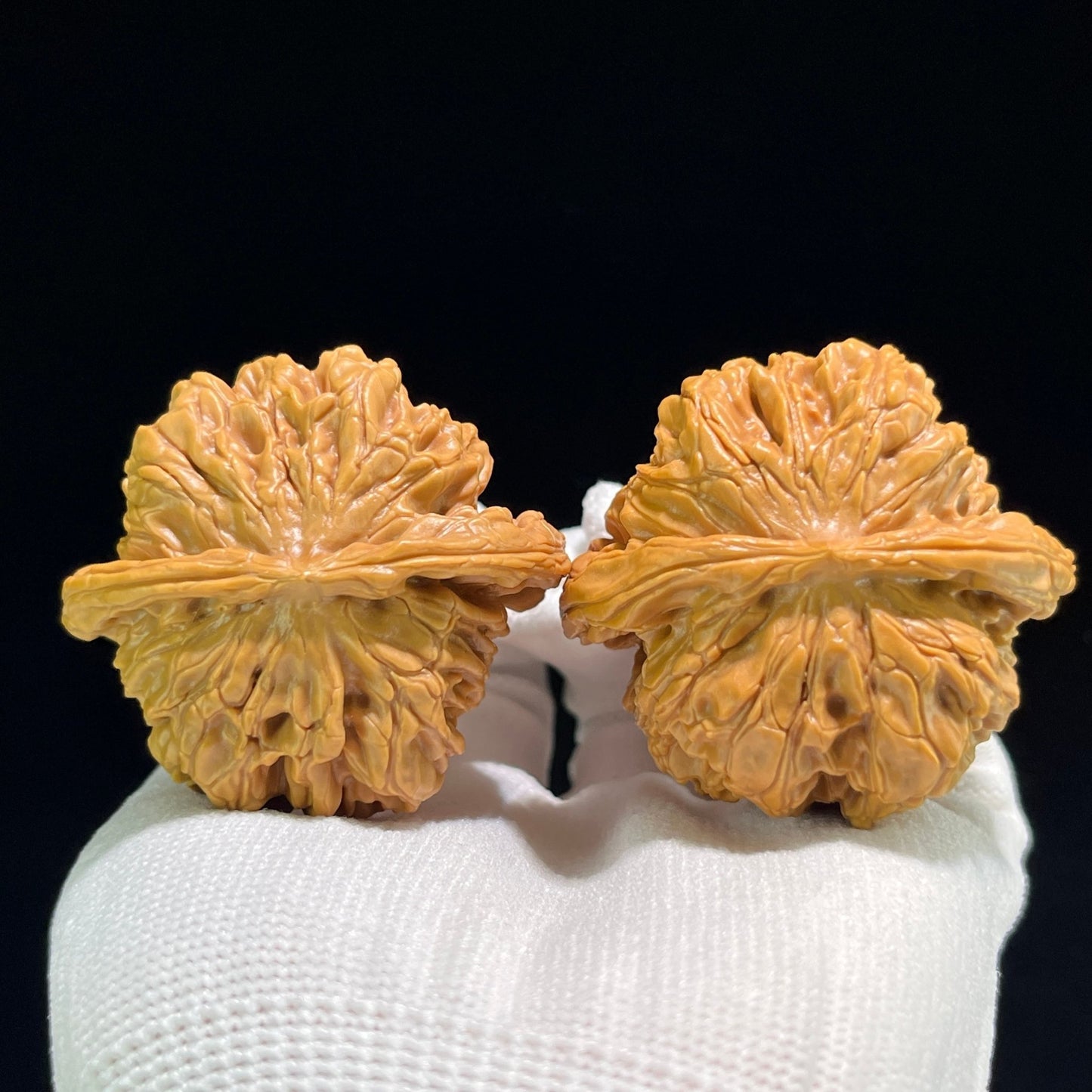 The "Hundred Longevity Lion Head" (Bai Shou Shi Zi Tou) Ultra-Giant Pair | 48.0mm x 44.0mm | BSSZT-801 - ThePatinaProject