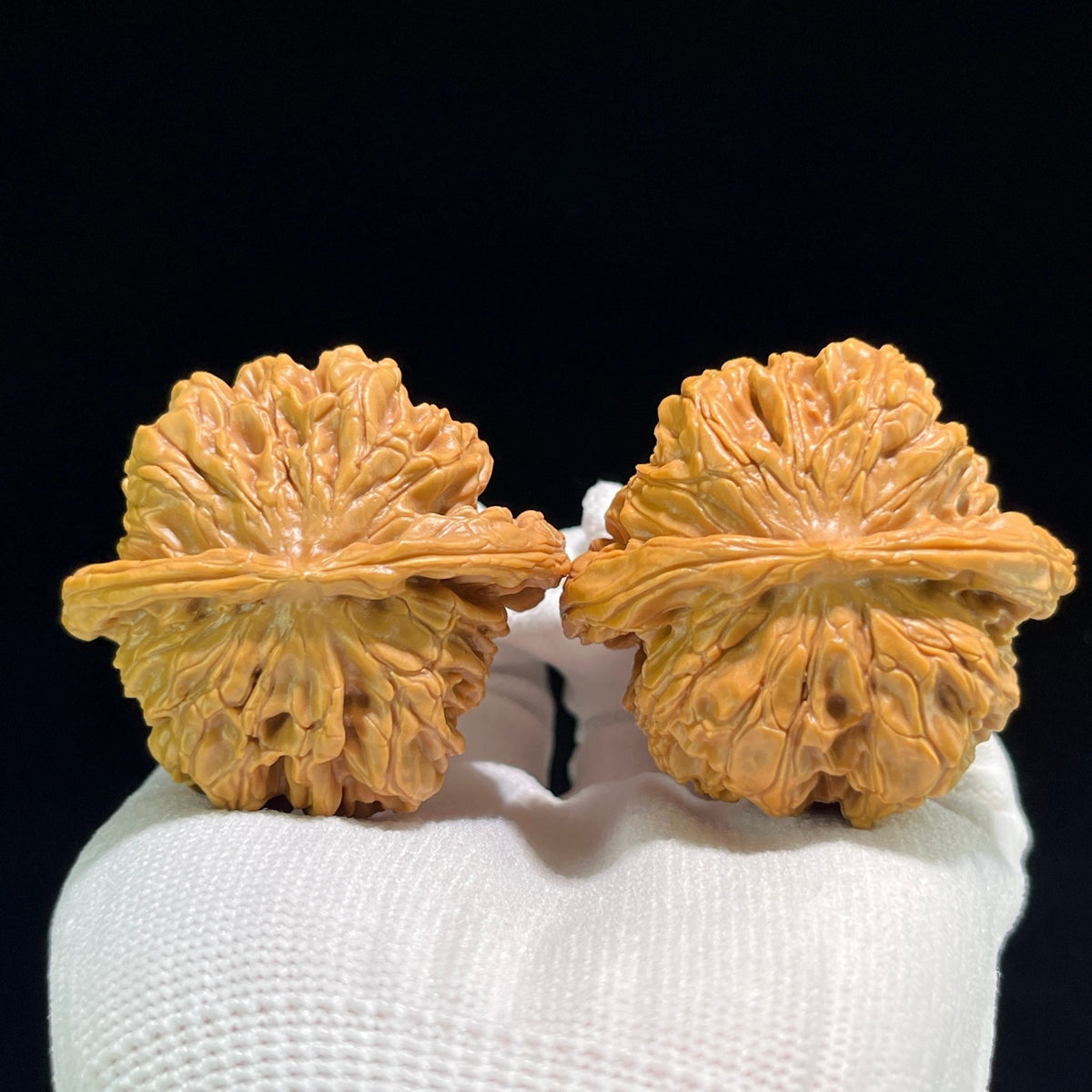 The "Hundred Longevity Lion Head" (Bai Shou Shi Zi Tou) Ultra-Giant Pair | 48.0mm x 44.0mm | BSSZT-801 - ThePatinaProject
