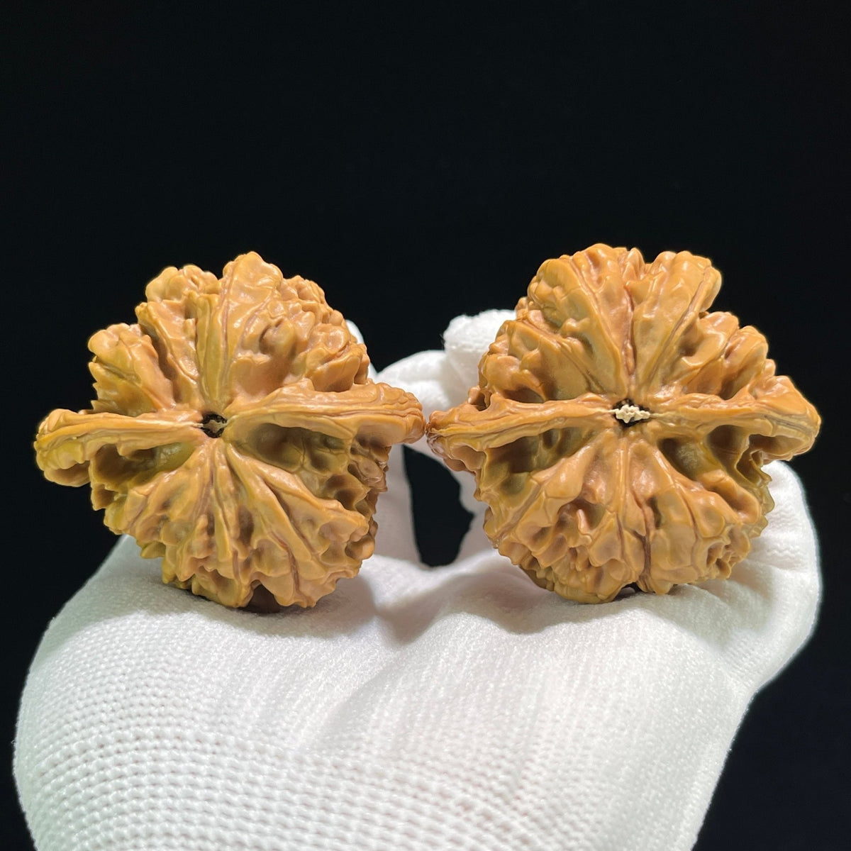 The "Hundred Longevity Lion Head" (Bai Shou Shi Zi Tou) Ultra-Giant Pair | 48.0mm x 44.0mm | BSSZT-801 - ThePatinaProject