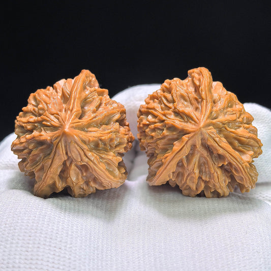 The Illustrious "Li Xuechao" Three-Ridge Human Character Masterpiece | 40.0mm x 38.0mm | LXCSN-1401E - ThePatinaProject
