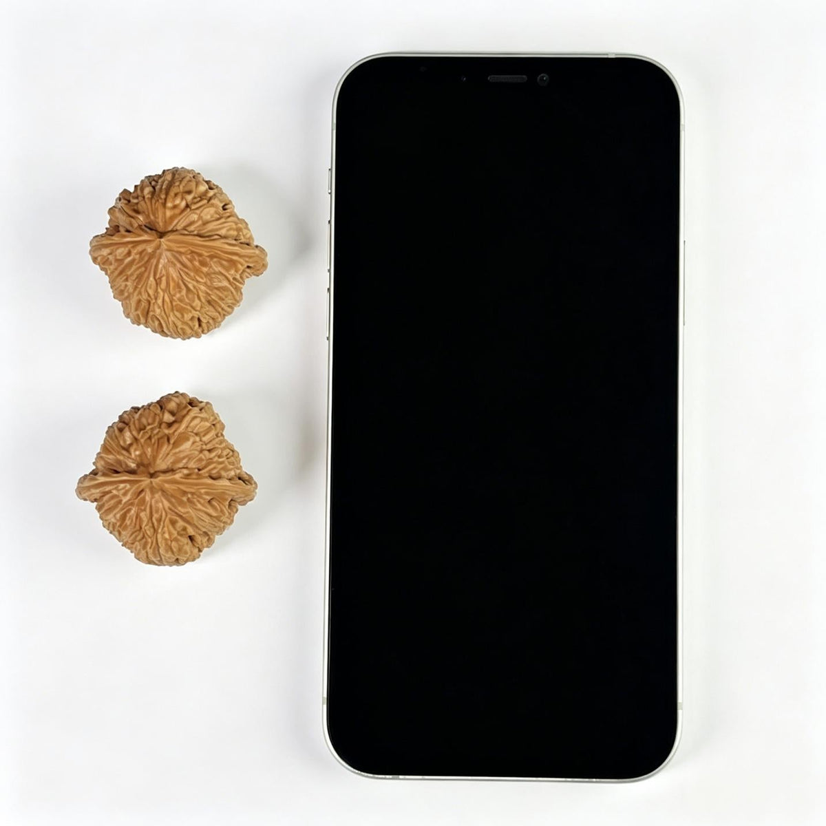 The "Imperial Alabaster" (Bai Shi Zi) Premium Miniature Scholar Walnuts | 35.0mm x 35.0mm | 1:1 Perfect Isometric Match | BSZ-1003 - ThePatinaProject