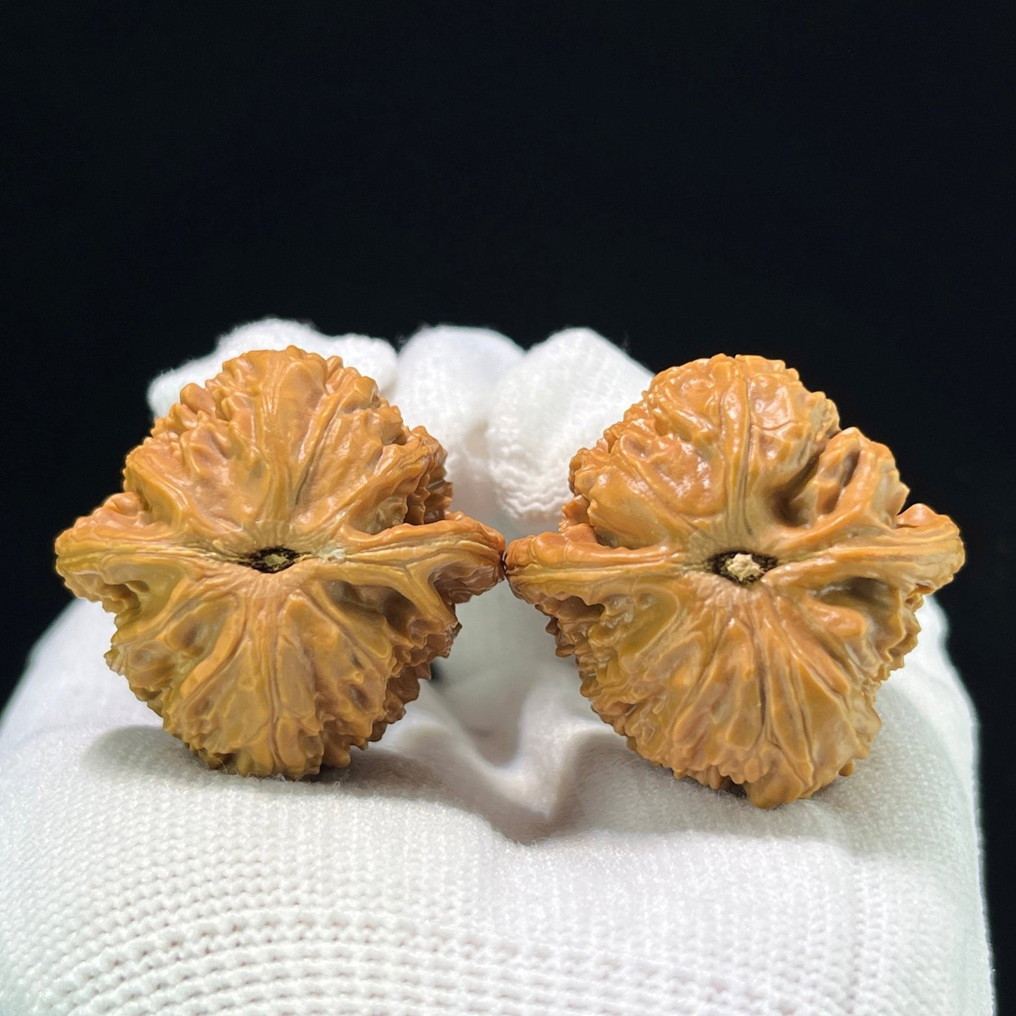 The "Imperial Alabaster" (Bai Shi Zi) Premium Miniature Scholar Walnuts | 35.0mm x 35.0mm | 1:1 Perfect Isometric Match | BSZ-1003 - ThePatinaProject