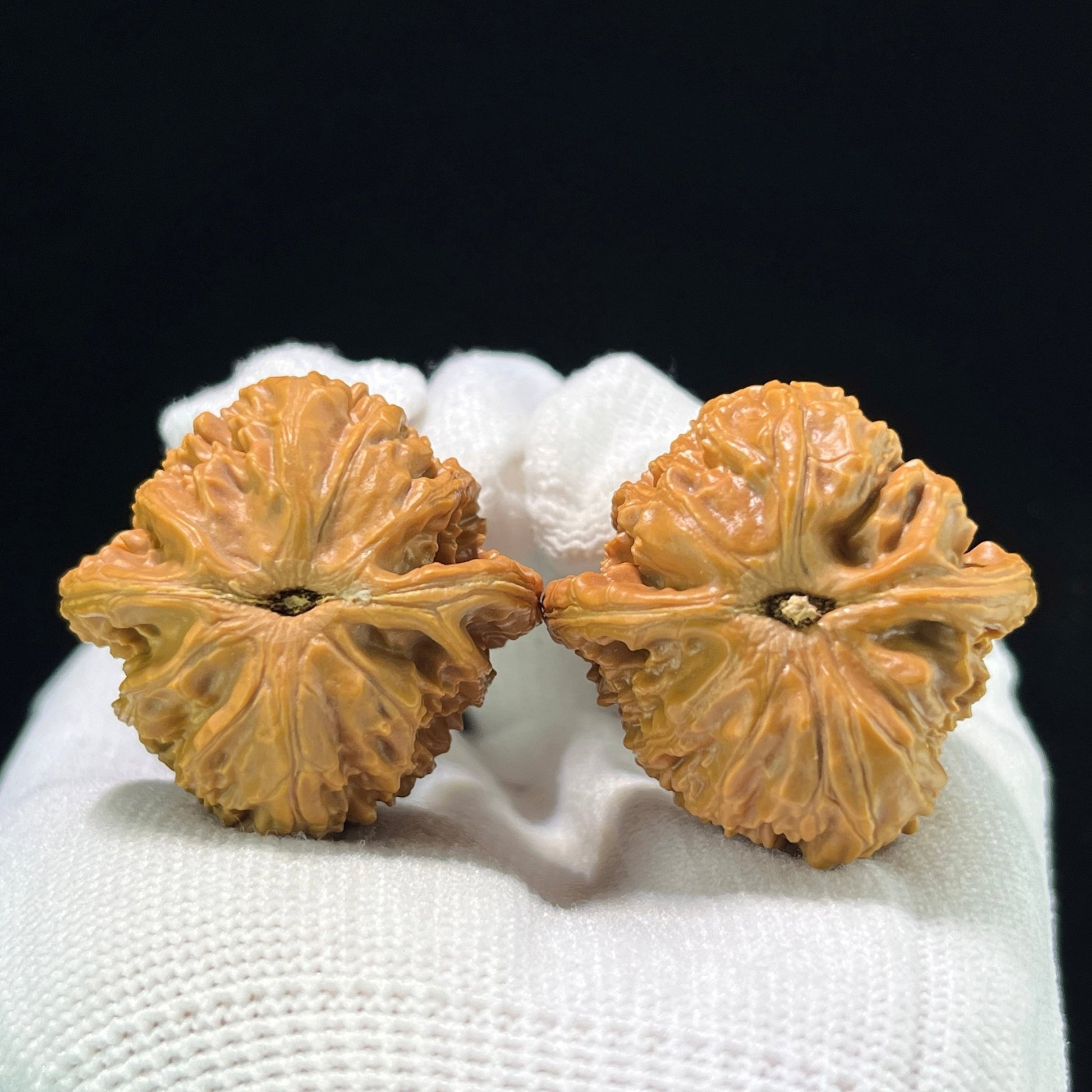 The "Imperial Alabaster" (Bai Shi Zi) Premium Miniature Scholar Walnuts | 35.0mm x 35.0mm | 1:1 Perfect Isometric Match | BSZ-1003 - ThePatinaProject