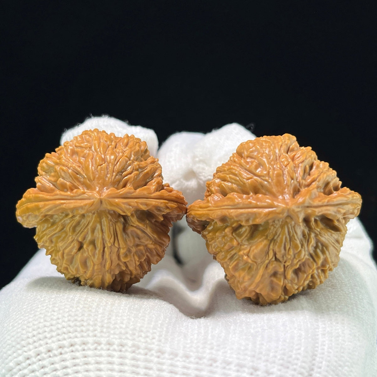 The "Imperial Alabaster" (Bai Shi Zi) Premium Miniature Scholar Walnuts | 35.0mm x 35.0mm | 1:1 Perfect Isometric Match | BSZ-1003 - ThePatinaProject