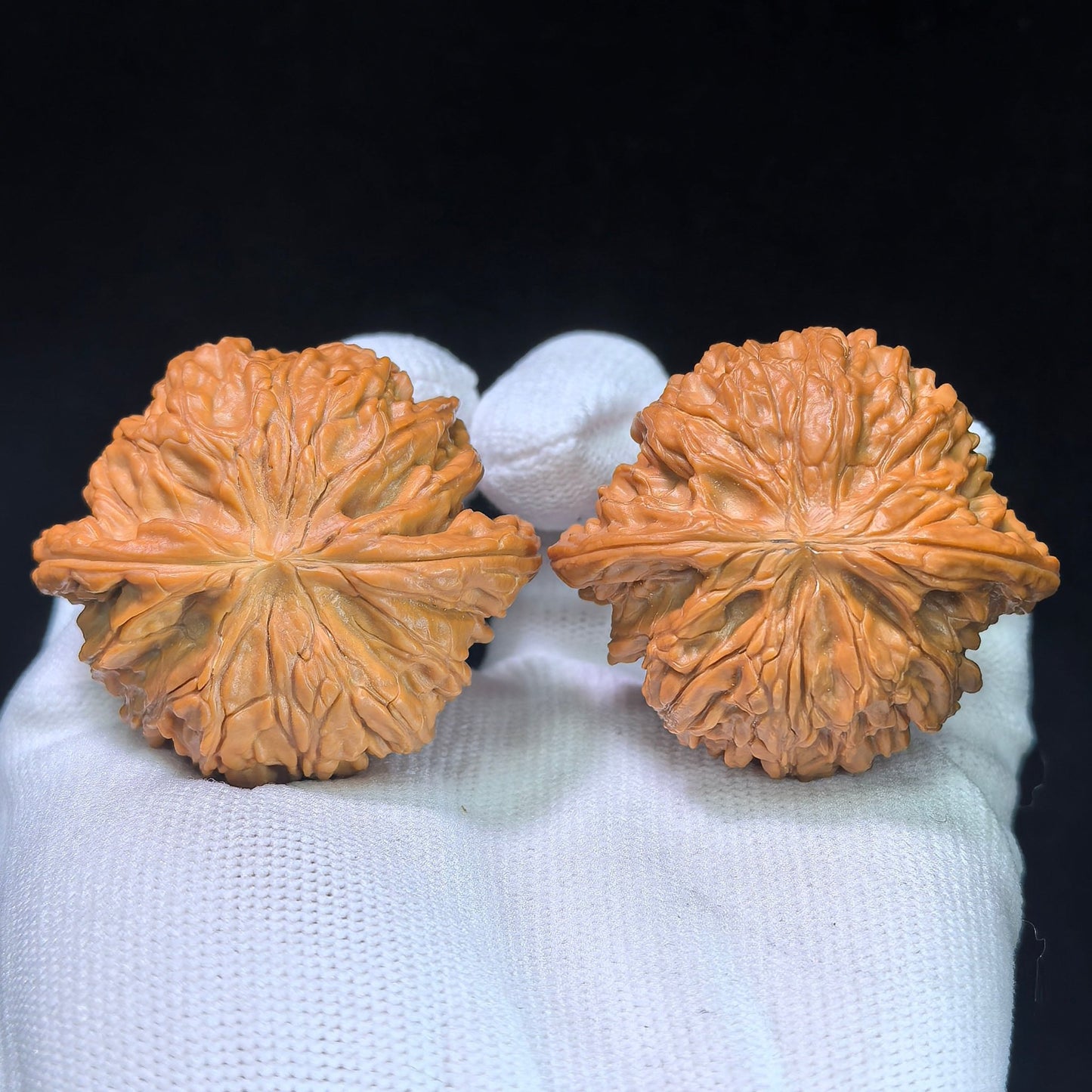 The "Imperial Butterfly Millstone" (Hudie Mo Pan) Museum-Grade Low-Profile Pair | 46.0mm x 40.0mm | 44g Heavy Mass | MP-1351C - ThePatinaProject