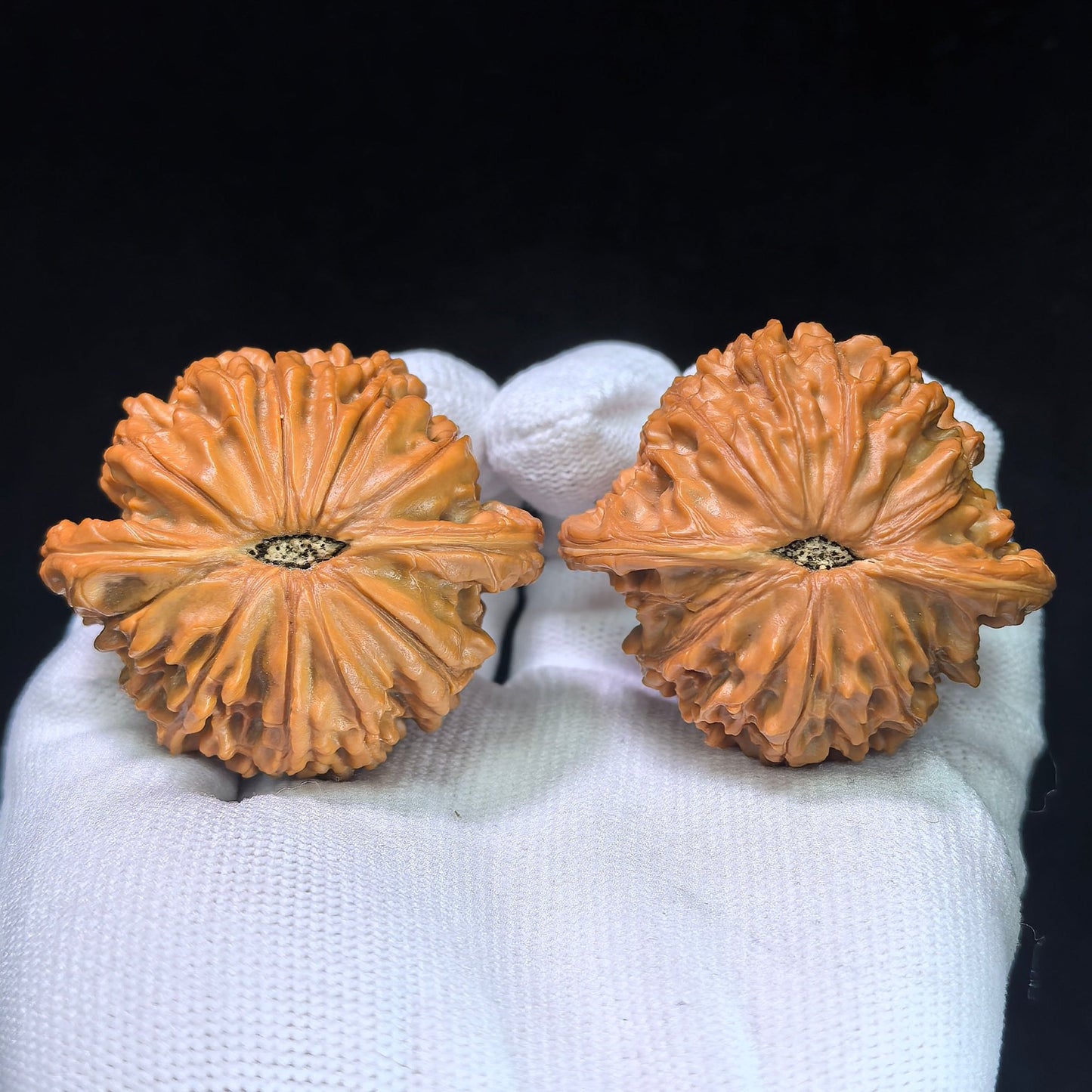 The "Imperial Butterfly Millstone" (Hudie Mo Pan) Museum-Grade Low-Profile Pair | 46.0mm x 40.0mm | 44g Heavy Mass | MP-1351C - ThePatinaProject