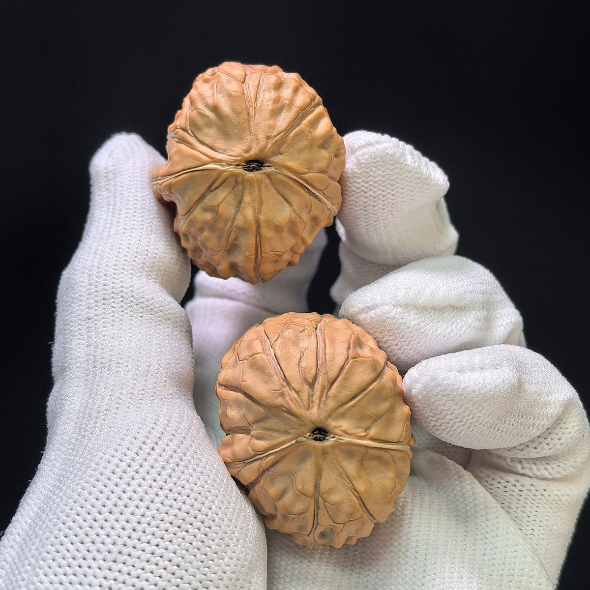 The "Imperial Carapace Duck" (Gui Jia Wen Ya Zi) Miniature Finger-Twirling Pair | 30.0mm x 34.0mm | GJWZF-401E - ThePatinaProject
