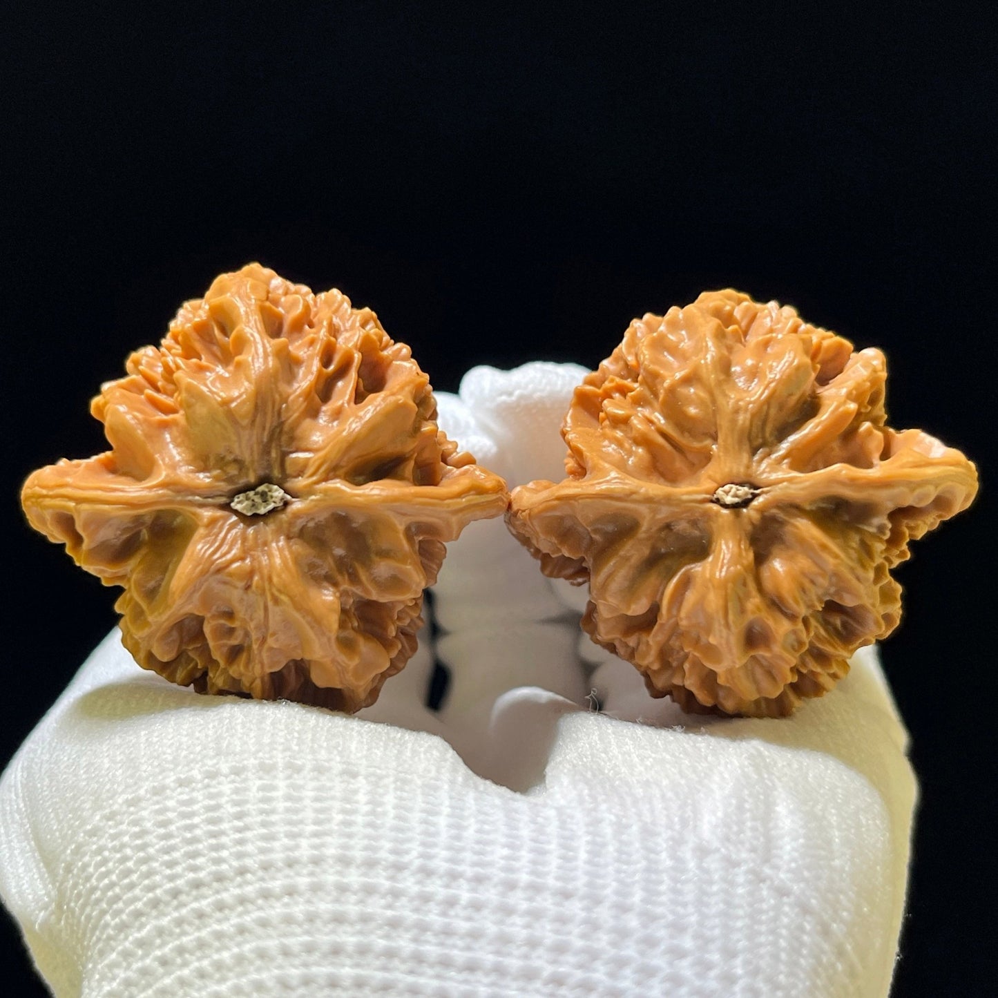 The "Imperial" (Di Wang) Premium Large-Stature Lion Head Pair | 45.0mm x 43.0mm | DW-1102 - ThePatinaProject