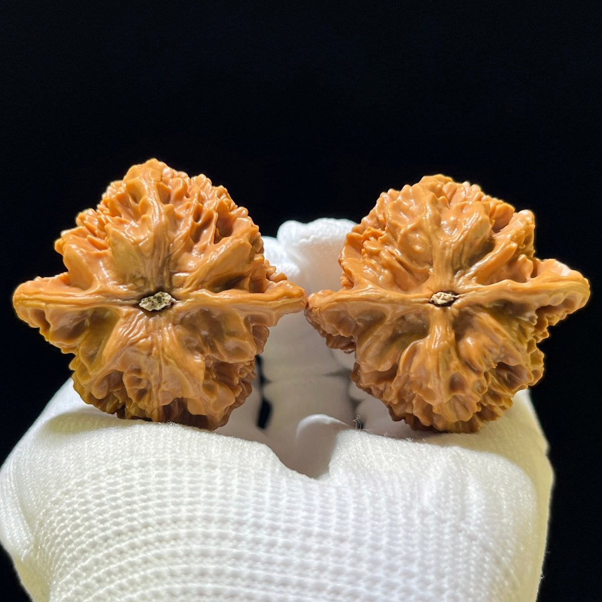 The "Imperial" (Di Wang) Premium Large-Stature Lion Head Pair | 45.0mm x 43.0mm | DW-1102 - ThePatinaProject