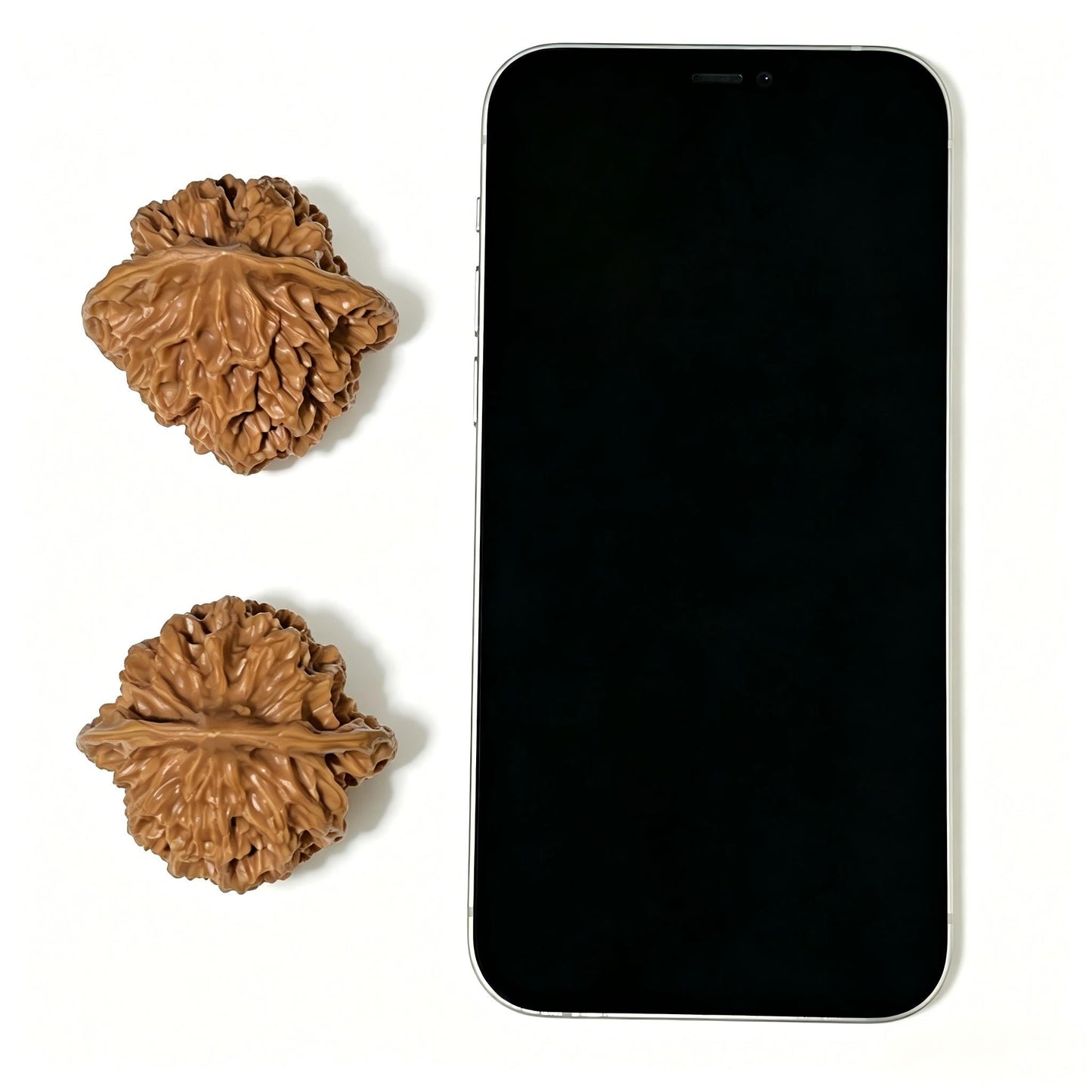 The "Imperial" (Di Wang) Premium Large-Stature Lion Head Pair | 45.0mm x 43.0mm | DW-1102 - ThePatinaProject