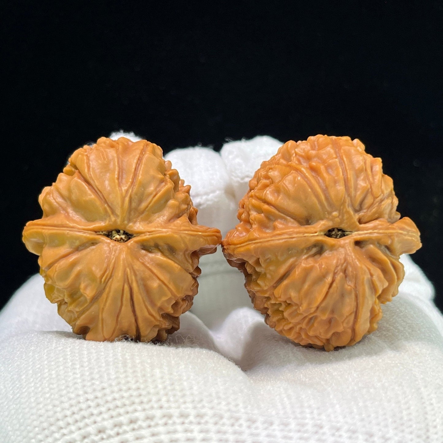 The "Imperial Dragon Pearl" (Long Zhu) Premium Miniature Scholar Walnuts | 33.0mm x 36.0mm | Deep-Belly Pocket Format | LZ-1001 - ThePatinaProject