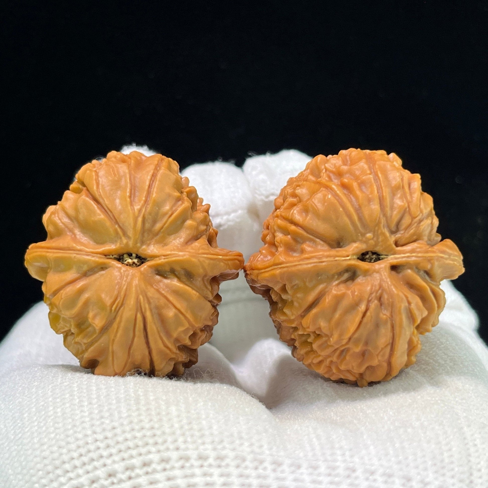 The "Imperial Dragon Pearl" (Long Zhu) Premium Miniature Scholar Walnuts | 33.0mm x 36.0mm | Deep-Belly Pocket Format | LZ-1001 - ThePatinaProject