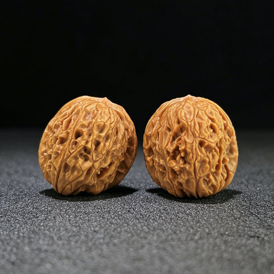 The "Imperial Dragon Pearl" (Long Zhu) Premium Miniature Scholar Walnuts | 33.0mm x 36.0mm | Deep-Belly Pocket Format | LZ-1001 - ThePatinaProject