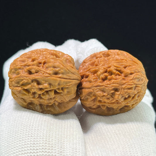 The "Imperial Dragon Pearl" (Long Zhu) Premium Miniature Scholar Walnuts | 33.0mm x 36.0mm | Deep-Belly Pocket Format | LZ-1001 - ThePatinaProject