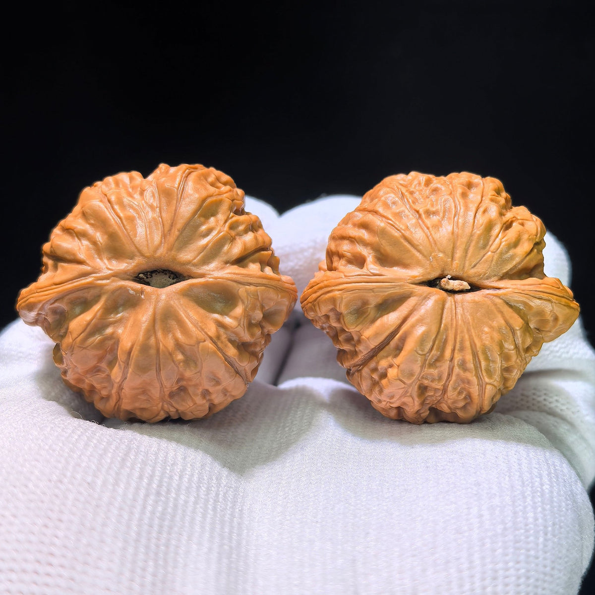 The Imperial "Emperor Qianlong's Grind" Qianlongmo Masterpiece | 39.0mm x 37.0mm | QLM-1201C - ThePatinaProject