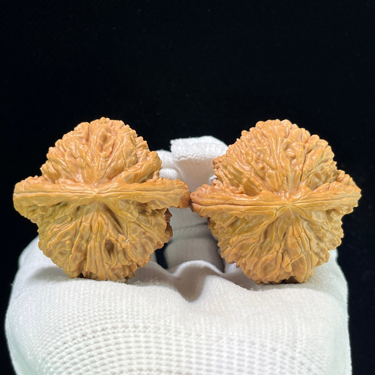 The "Imperial Flat-Top Lion" (Men Jian Bai Shi Zi) Grand Collector's Pair | 46.0mm x 44.0mm | Classic Ingot Profile | MJBSZ-1001 - ThePatinaProject