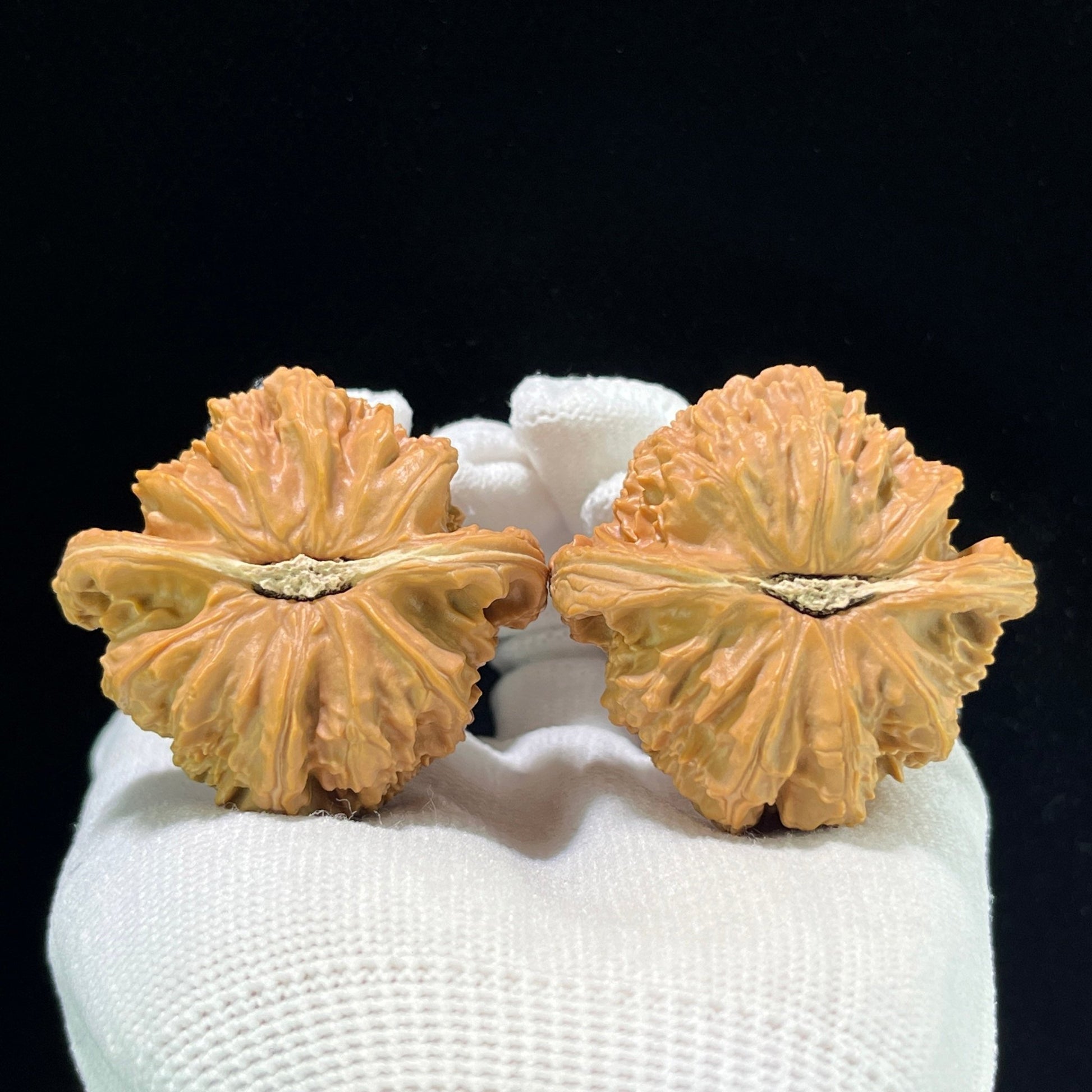 The "Imperial Flat-Top Lion" (Men Jian Bai Shi Zi) Grand Collector's Pair | 46.0mm x 44.0mm | Classic Ingot Profile | MJBSZ-1001 - ThePatinaProject