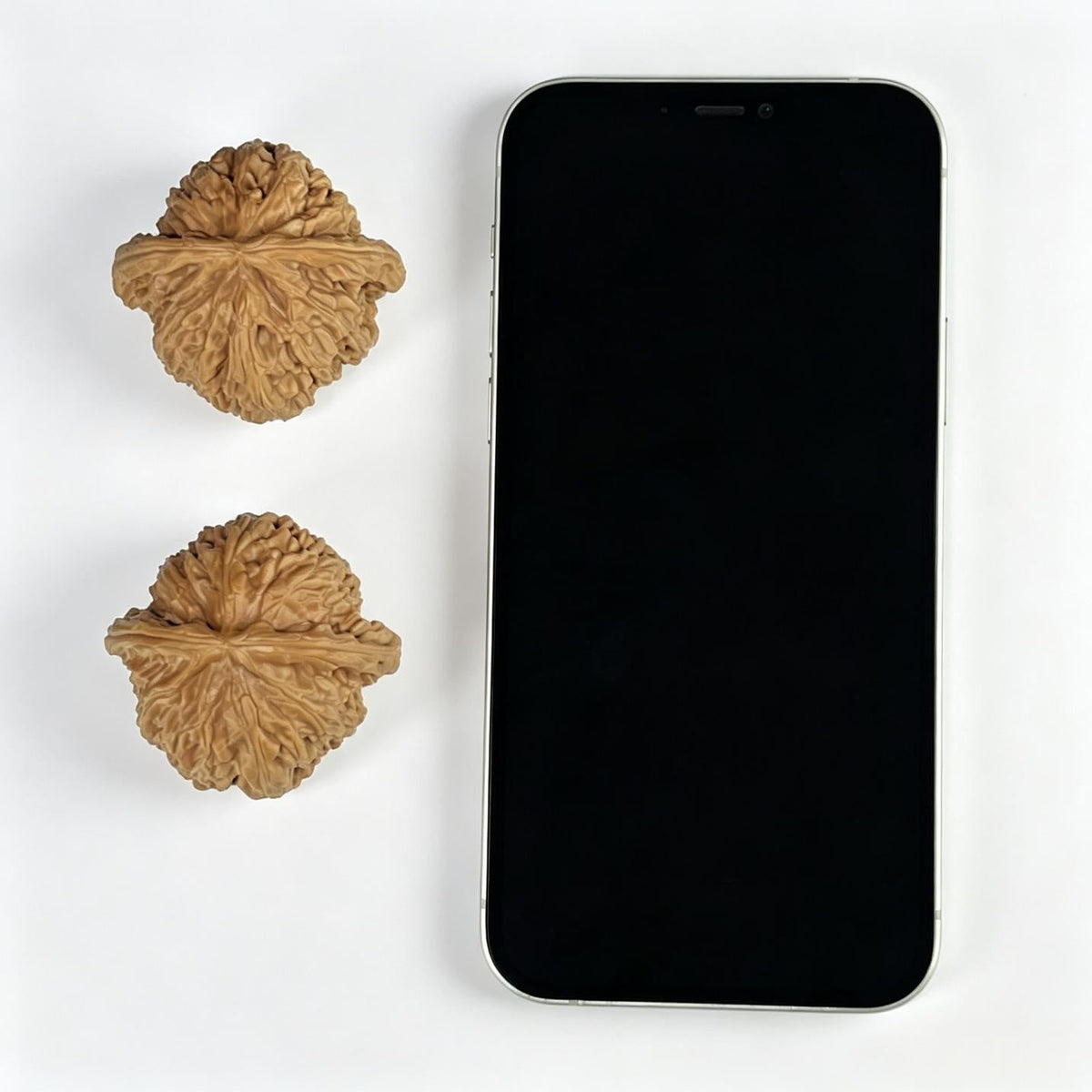 The "Imperial Flat-Top Lion" (Men Jian Bai Shi Zi) Grand Collector's Pair | 46.0mm x 44.0mm | Classic Ingot Profile | MJBSZ-1001 - ThePatinaProject