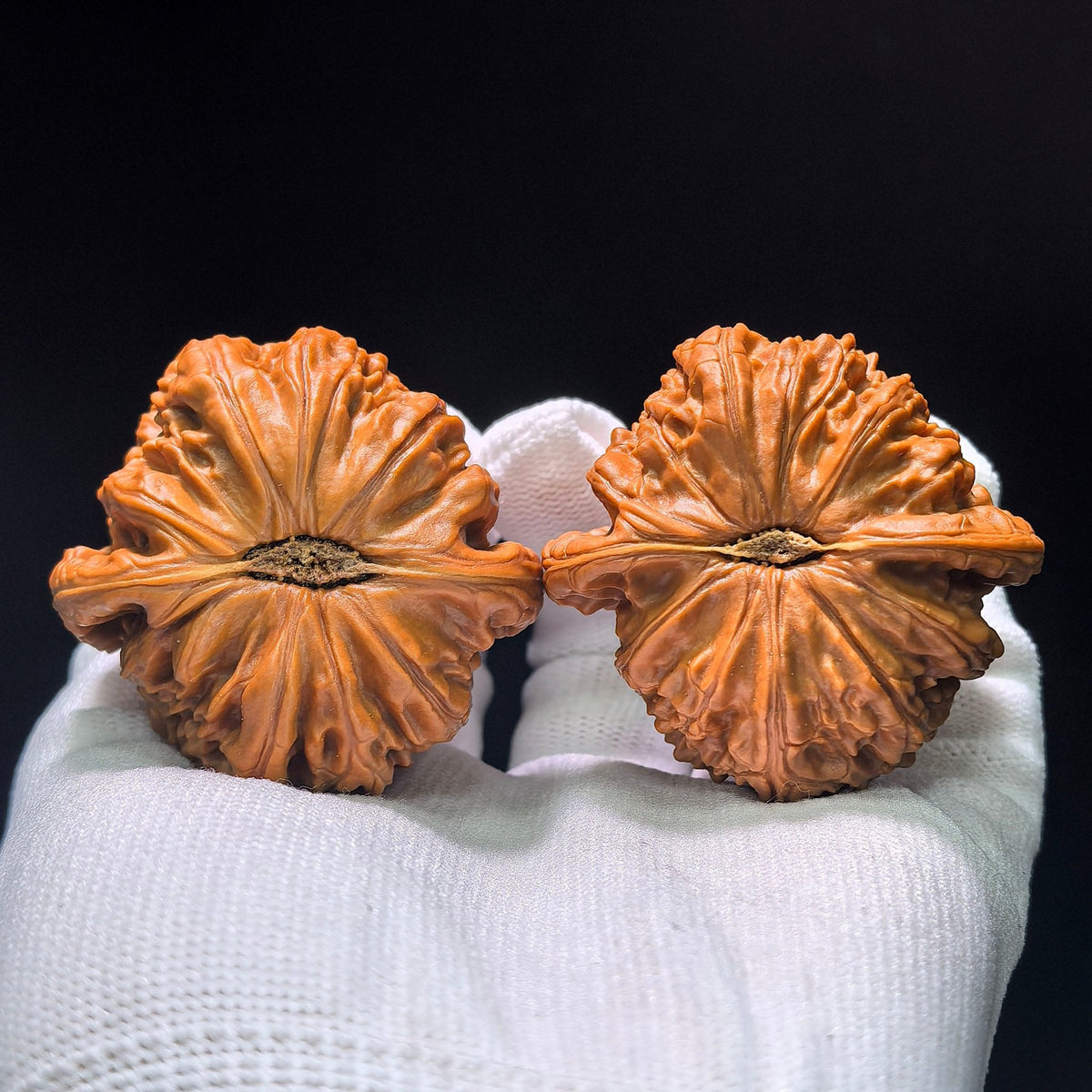 The "Imperial Flat-Top Lion" (Men Jian Bai Shi Zi) Grand Collector's Pair | 47.0mm x 46.0mm | Master Heirloom Class | BSJ-1304C - ThePatinaProject