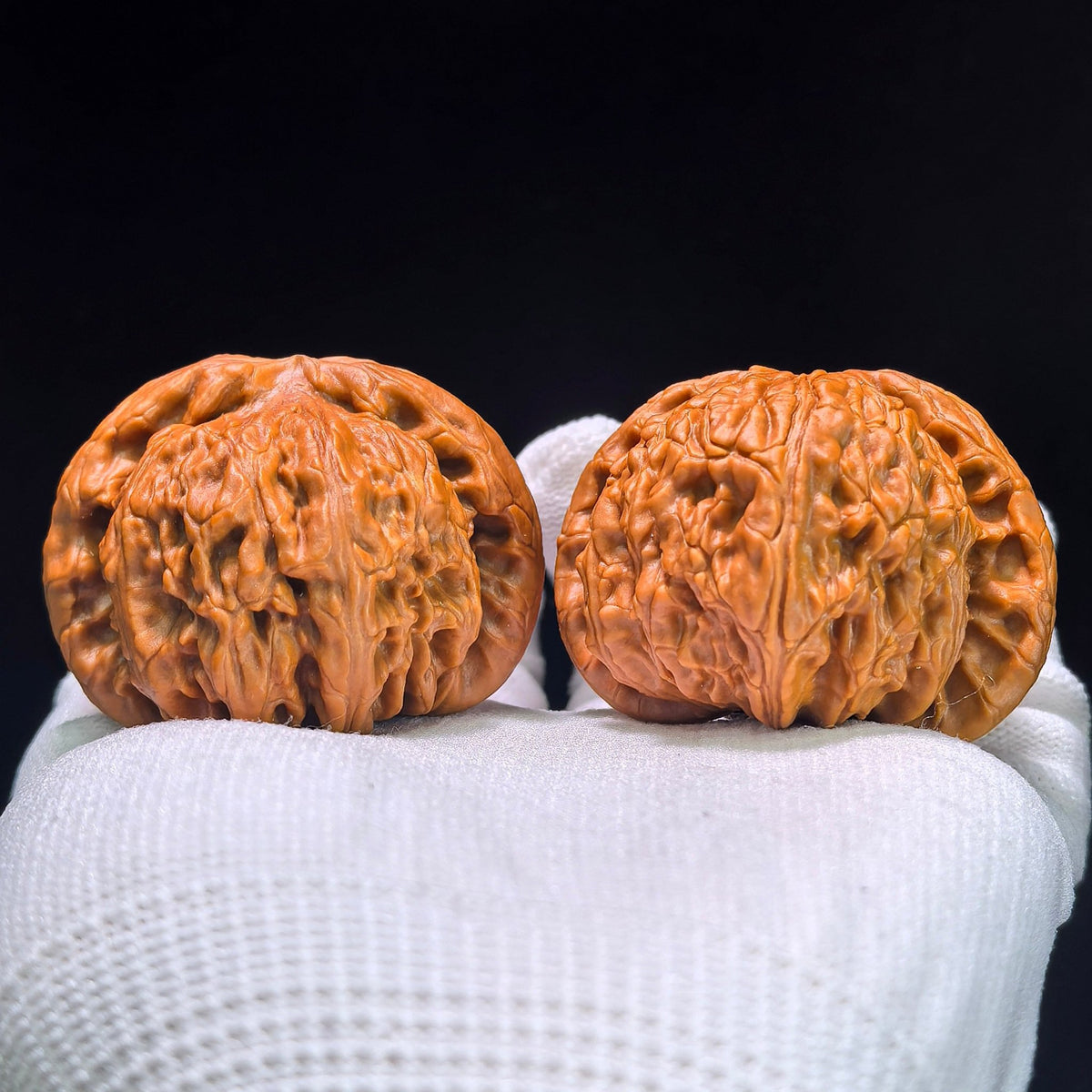 The "Imperial Flat-Top Lion" (Men Jian Bai Shi Zi) Grand Collector's Pair | 47.0mm x 46.0mm | Master Heirloom Class | BSJ-1304C - ThePatinaProject