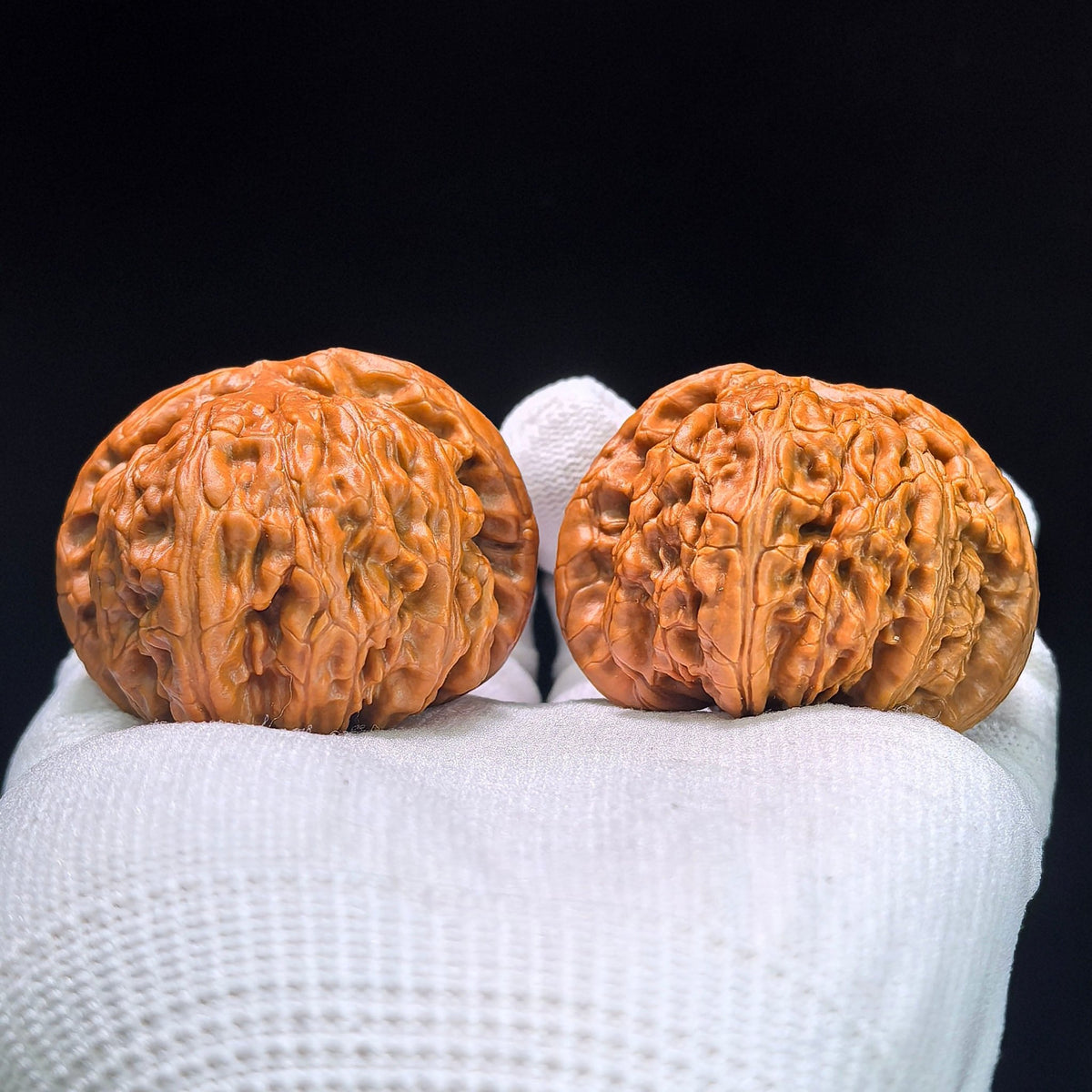 The "Imperial Flat-Top Lion" (Men Jian Bai Shi Zi) Grand Collector's Pair | 47.0mm x 46.0mm | Master Heirloom Class | BSJ-1304C - ThePatinaProject