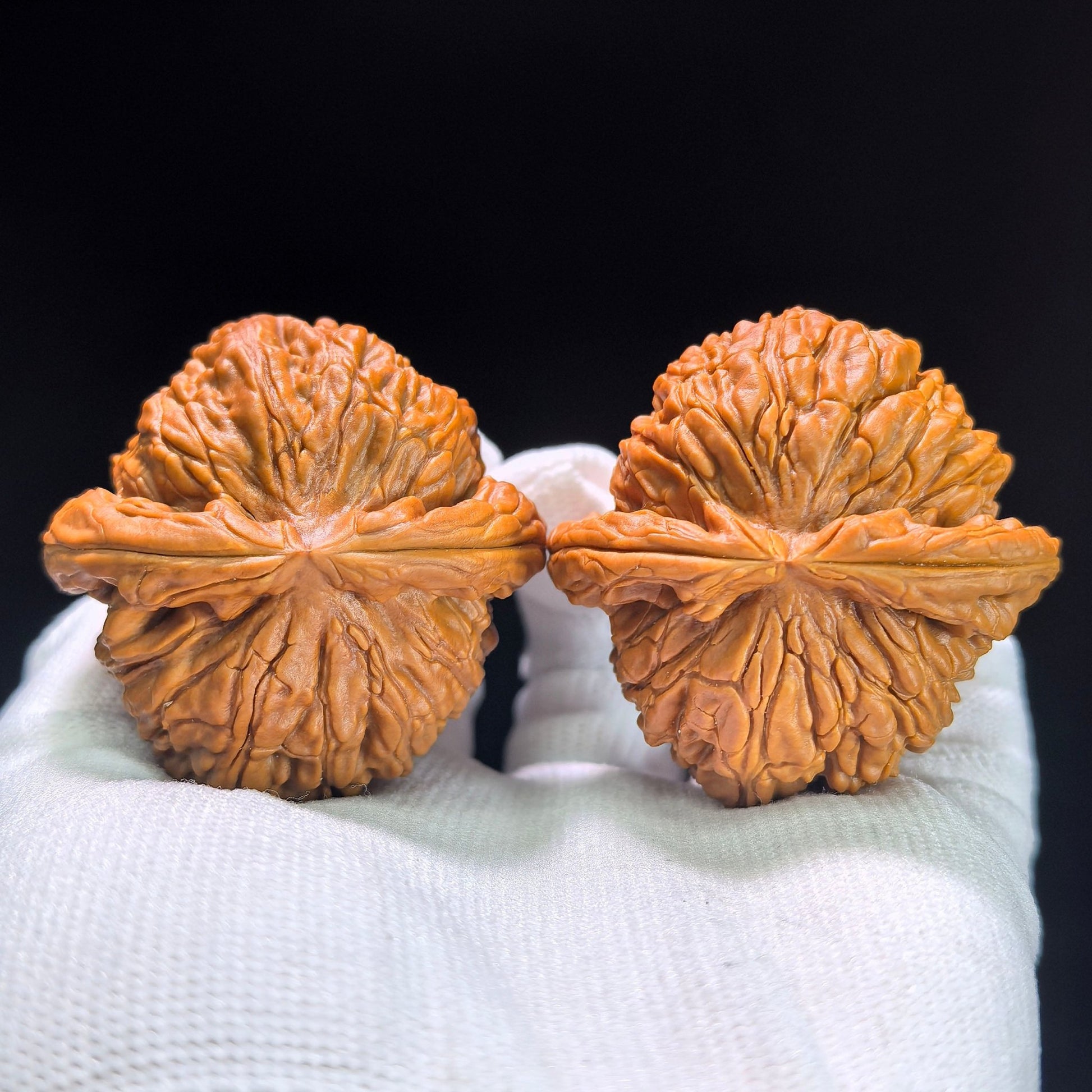 The "Imperial Flat-Top Lion" (Men Jian Bai Shi Zi) Grand Collector's Pair | 47.0mm x 46.0mm | Master Heirloom Class | BSJ-1304C - ThePatinaProject