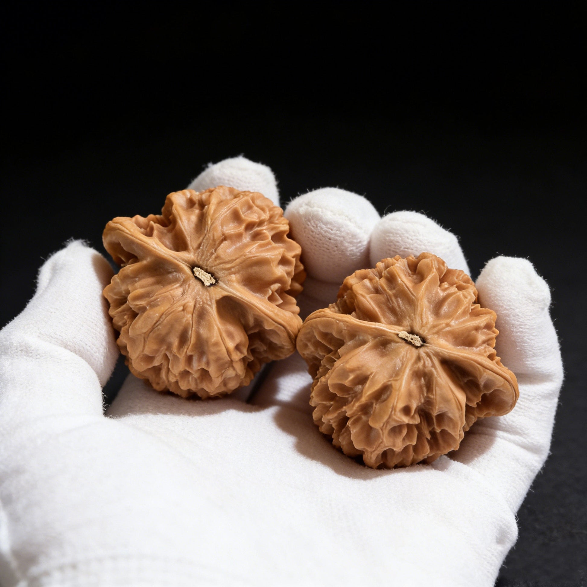 The "Imperial Grand Flower" (Diwang Zhonghua Dahua) Pair | 44.0mm | DWZHDH-01 - ThePatinaProject