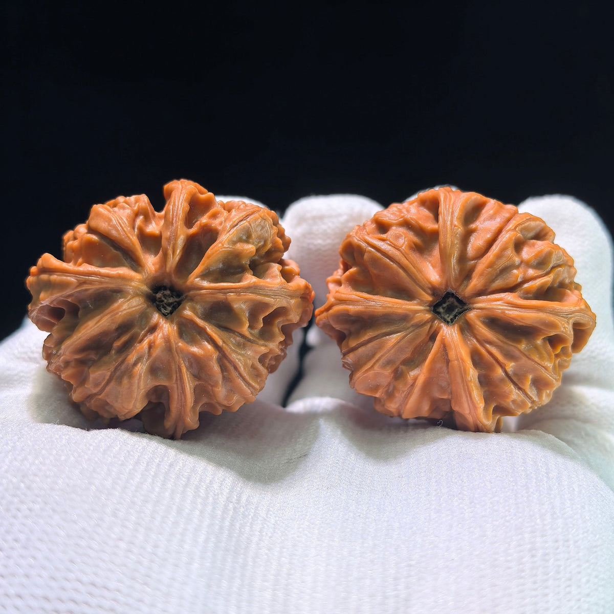 The "Imperial Jade Seal" (Yu Xi) Collector-Grade Four-Ribbed Masterpiece | 39.0mm x 36.0mm | YSFN-1301E - ThePatinaProject
