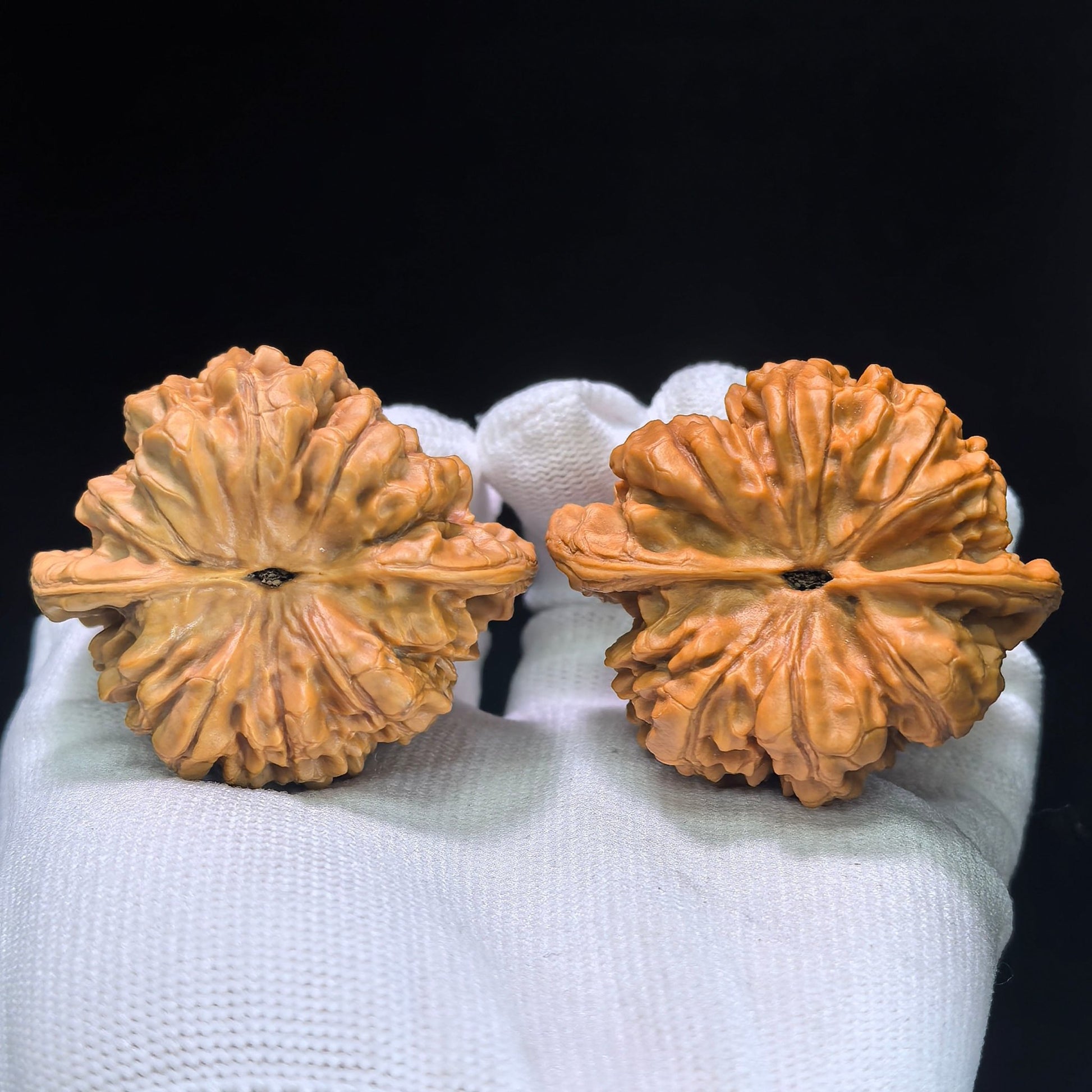 The "Imperial Kylin Pattern" (Qilin Wen) Premium Concave Peach-Heart Pair | 50.0mm x 43.0mm | QLW-1303C - ThePatinaProject