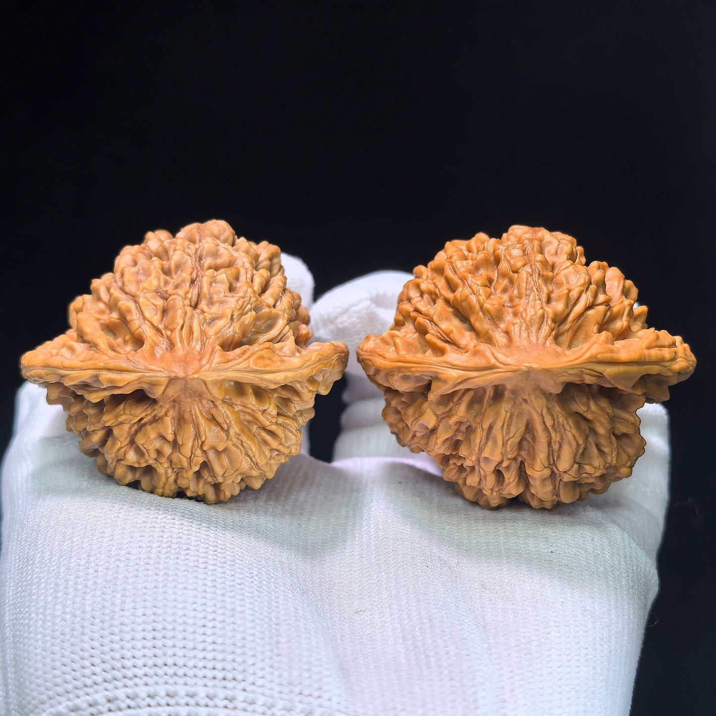 The "Imperial Kylin Pattern" (Qilin Wen) Premium Concave Peach-Heart Pair | 50.0mm x 43.0mm | QLW-1303C - ThePatinaProject