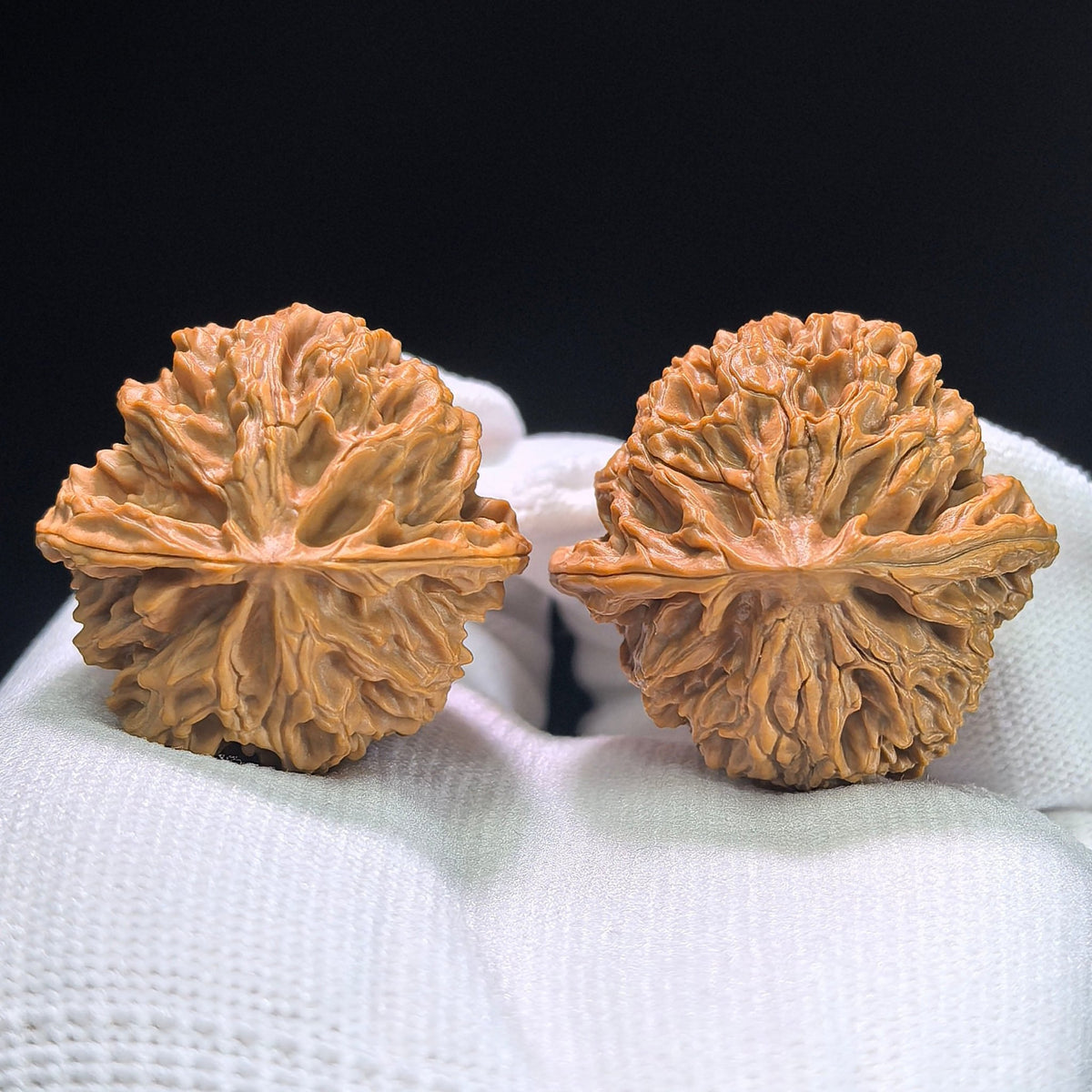 The "Imperial Orchard" (Ping Guo Yuan) Select Miniature Balanced Pair | 37.0mm x 36.0mm | Compact Shou Nian Format | PGY-1404 - ThePatinaProject